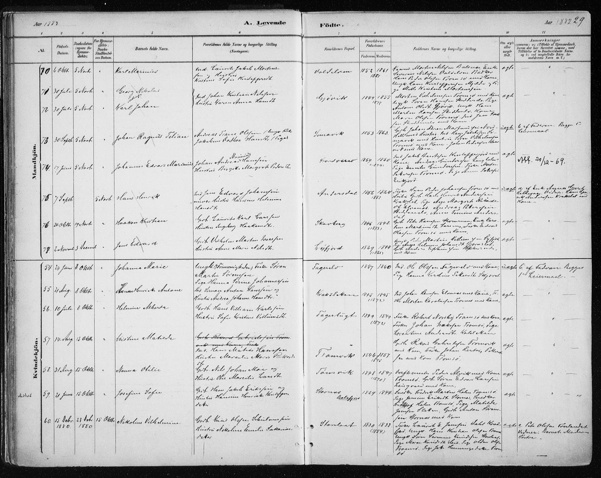 Tromsøysund sokneprestkontor, SATØ/S-1304/G/Ga/L0004kirke: Parish register (official) no. 4, 1880-1888, p. 29