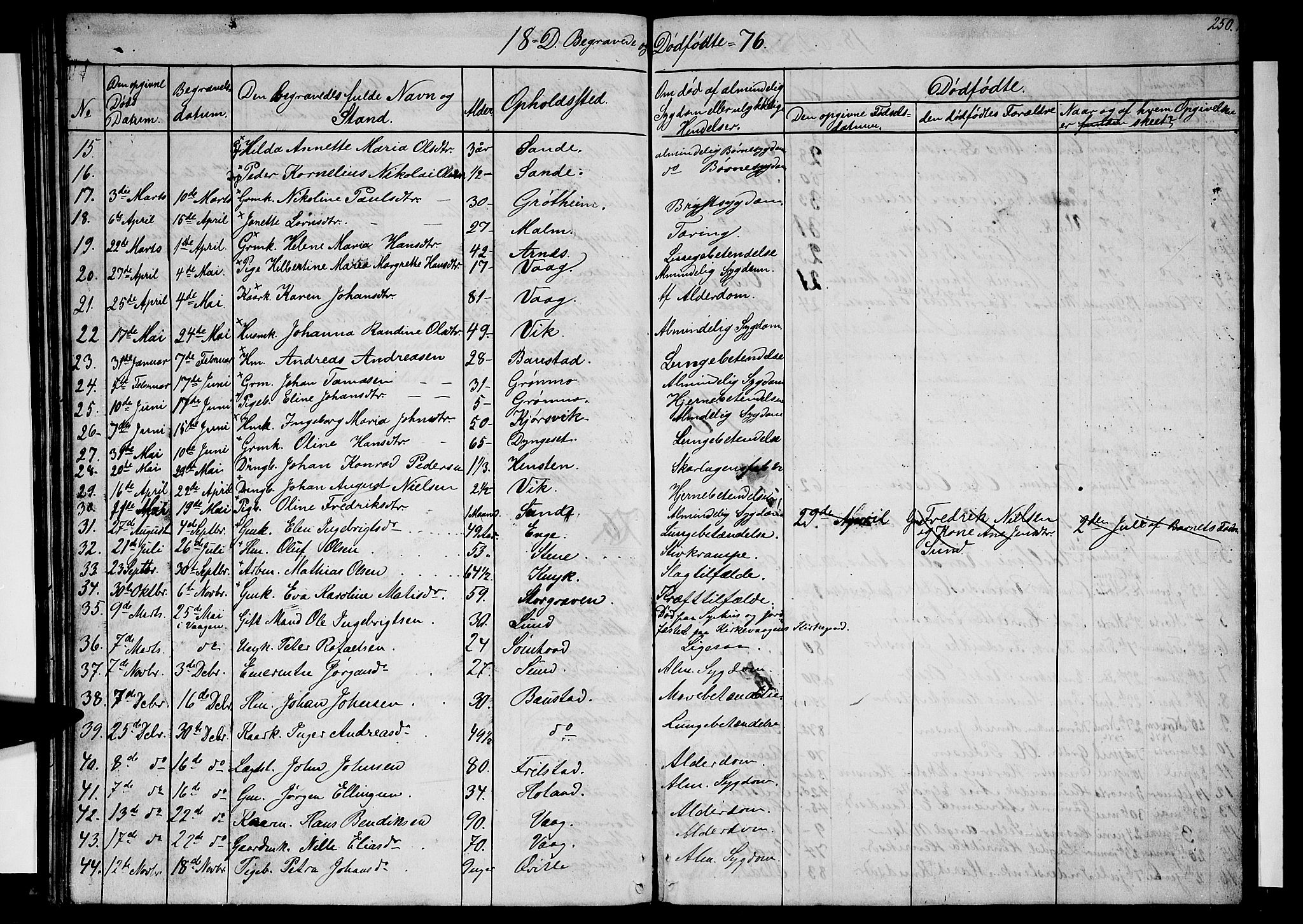 Ministerialprotokoller, klokkerbøker og fødselsregistre - Nordland, AV/SAT-A-1459/812/L0187: Parish register (copy) no. 812C05, 1850-1883, p. 250