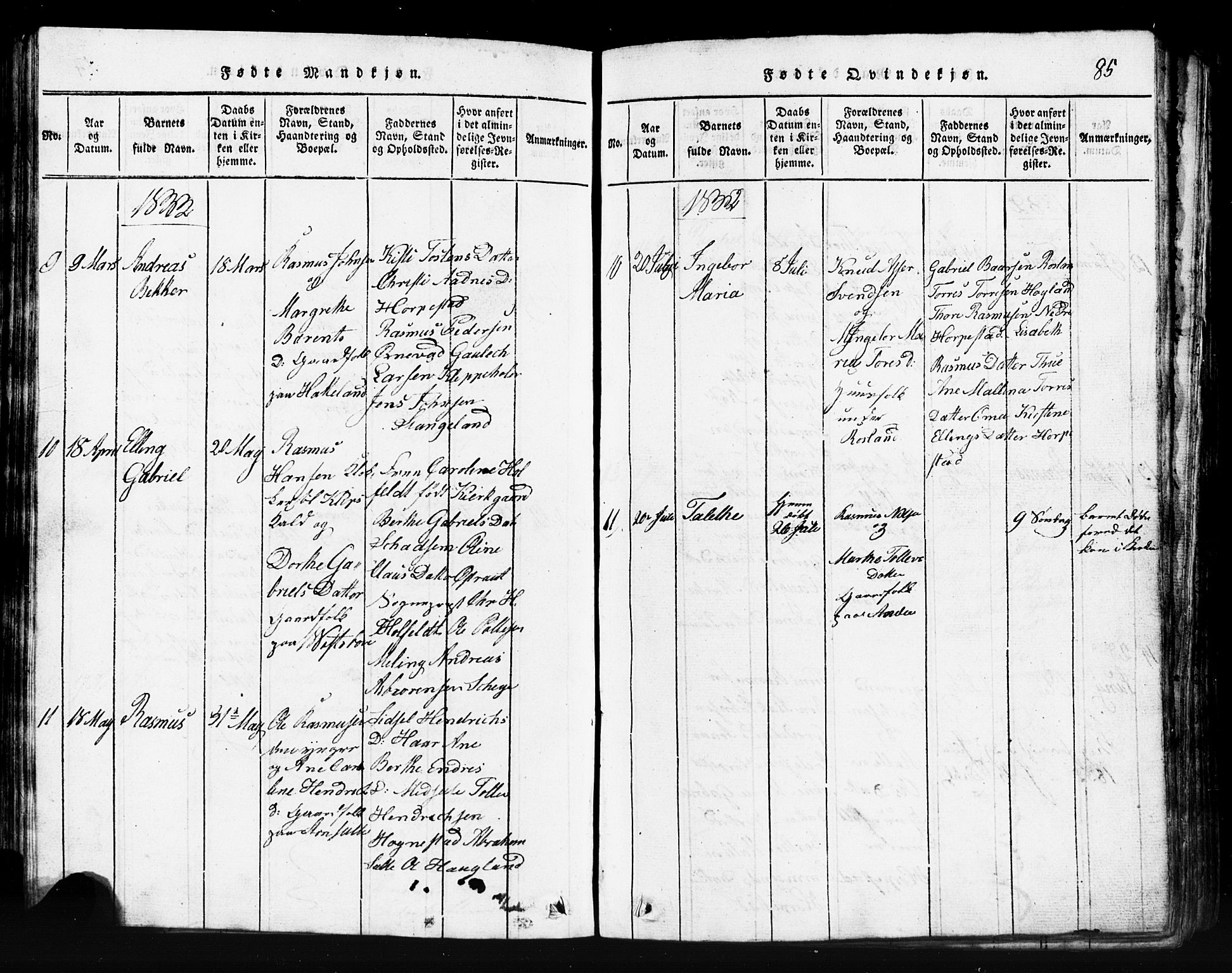 Klepp sokneprestkontor, AV/SAST-A-101803/001/3/30BB/L0001: Parish register (copy) no.  B 1, 1816-1859, p. 85