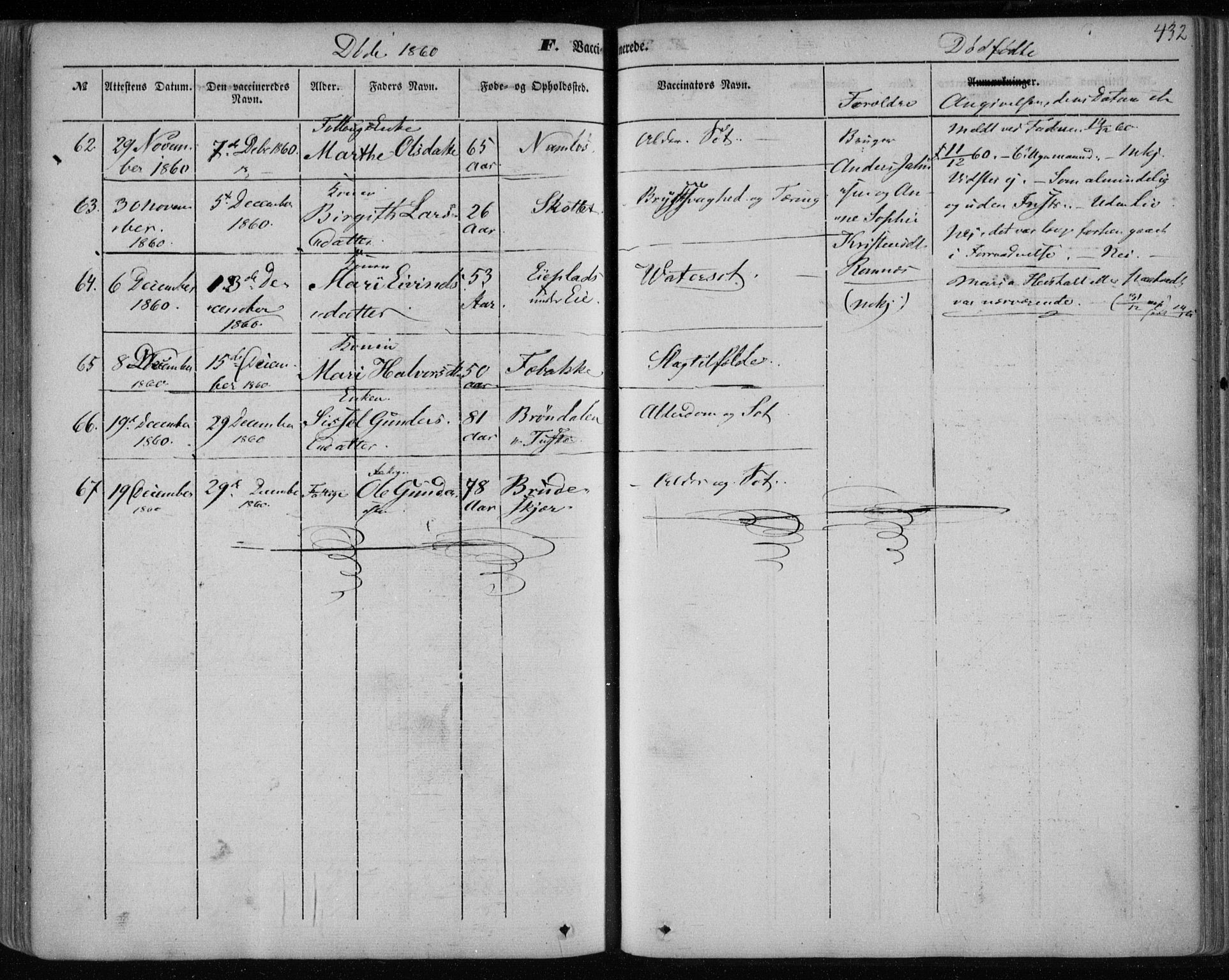 Holla kirkebøker, AV/SAKO-A-272/F/Fa/L0005: Parish register (official) no. 5, 1849-1860, p. 432