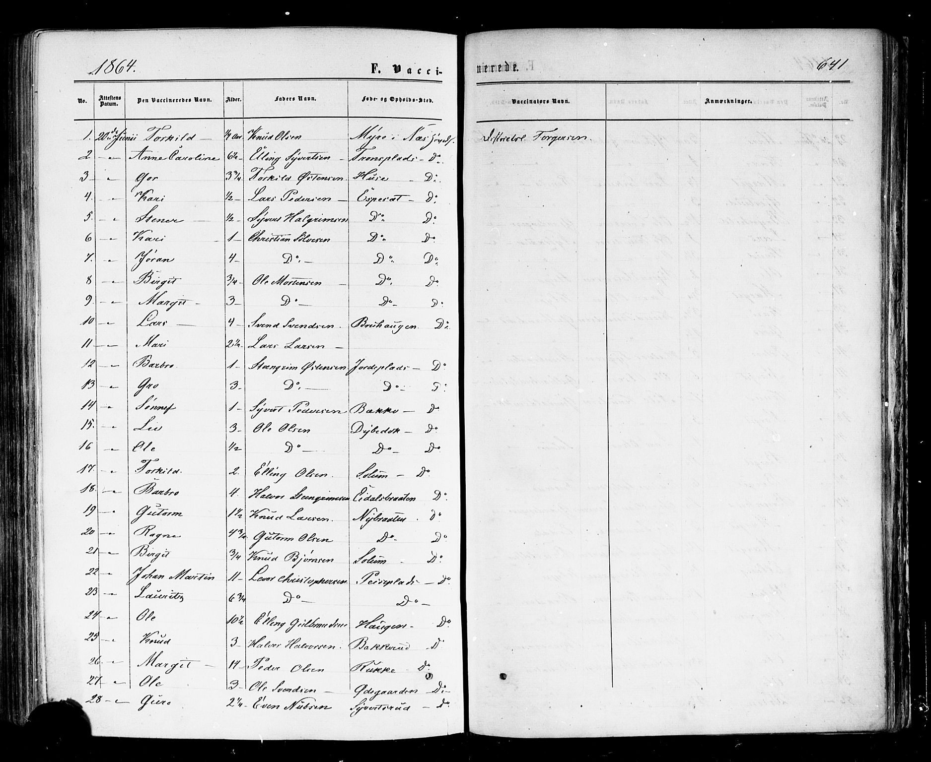 Nes kirkebøker, SAKO/A-236/F/Fa/L0010: Parish register (official) no. 10, 1864-1880, p. 641
