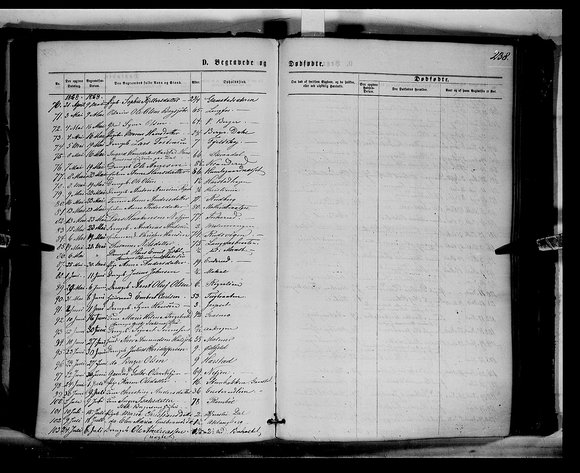 Eidskog prestekontor, AV/SAH-PREST-026/H/Ha/Haa/L0002: Parish register (official) no. 2, 1867-1878, p. 238