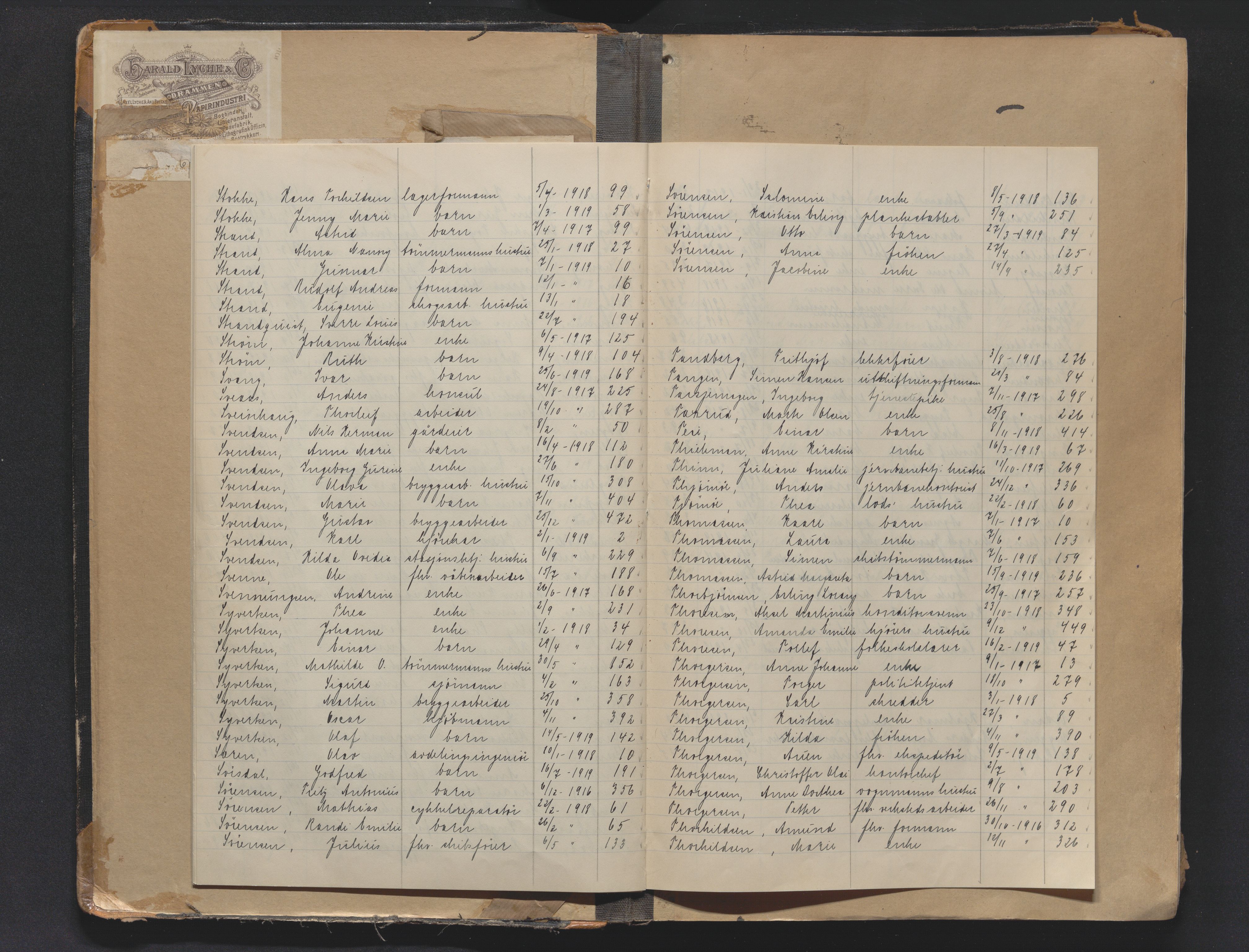 Drammen byfogd, AV/SAKO-A-222/H/Ha/Haa/L0013: Dødsjournal., 1916-1920