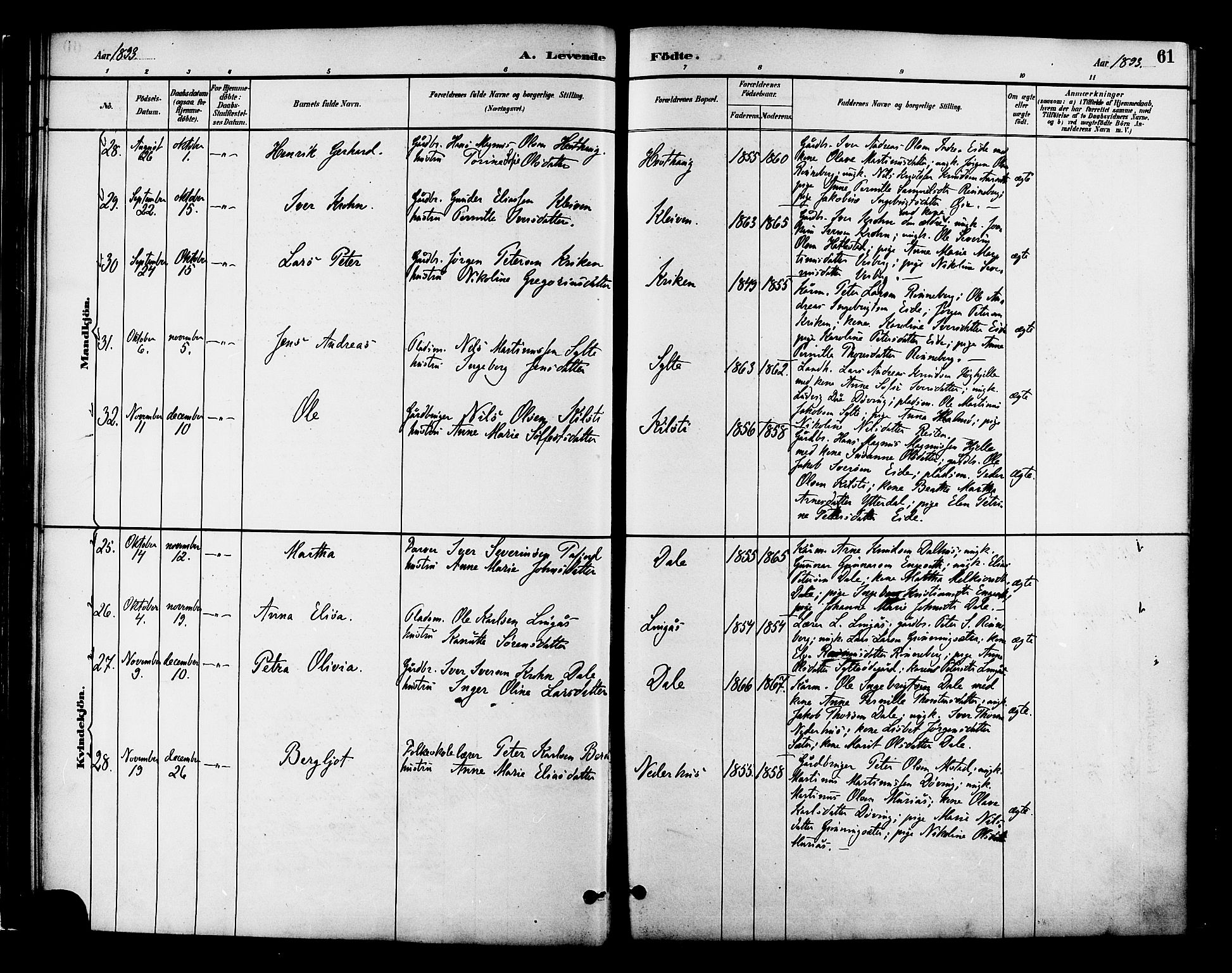 Ministerialprotokoller, klokkerbøker og fødselsregistre - Møre og Romsdal, AV/SAT-A-1454/519/L0255: Parish register (official) no. 519A14, 1884-1908, p. 61