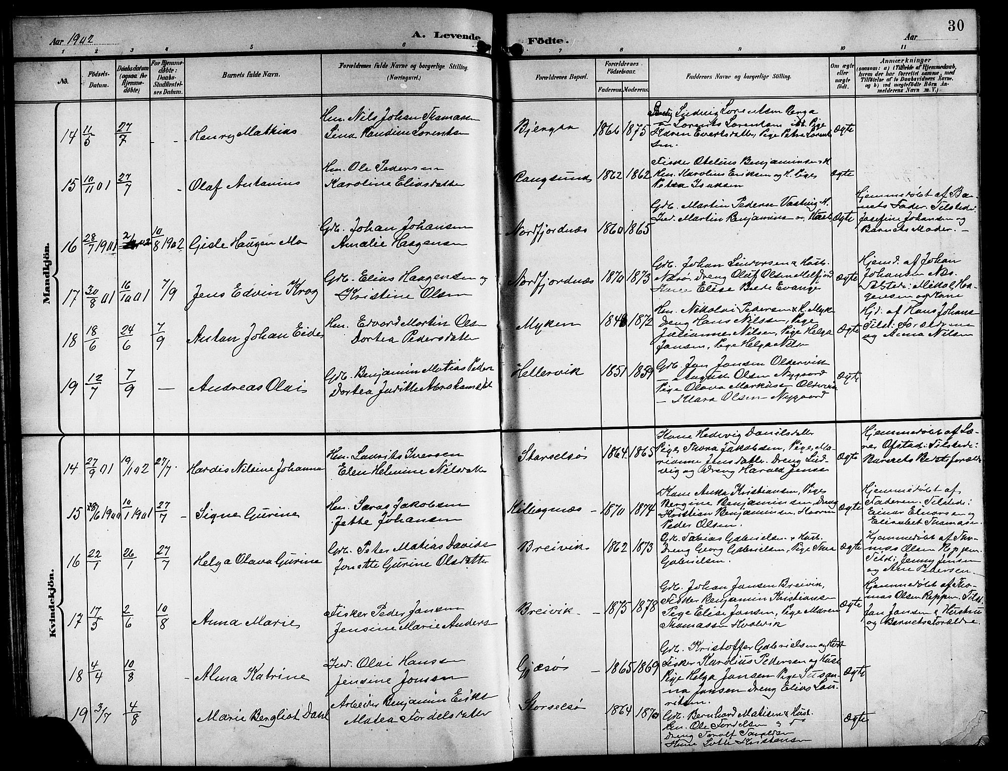 Ministerialprotokoller, klokkerbøker og fødselsregistre - Nordland, AV/SAT-A-1459/841/L0621: Parish register (copy) no. 841C05, 1897-1923, p. 30