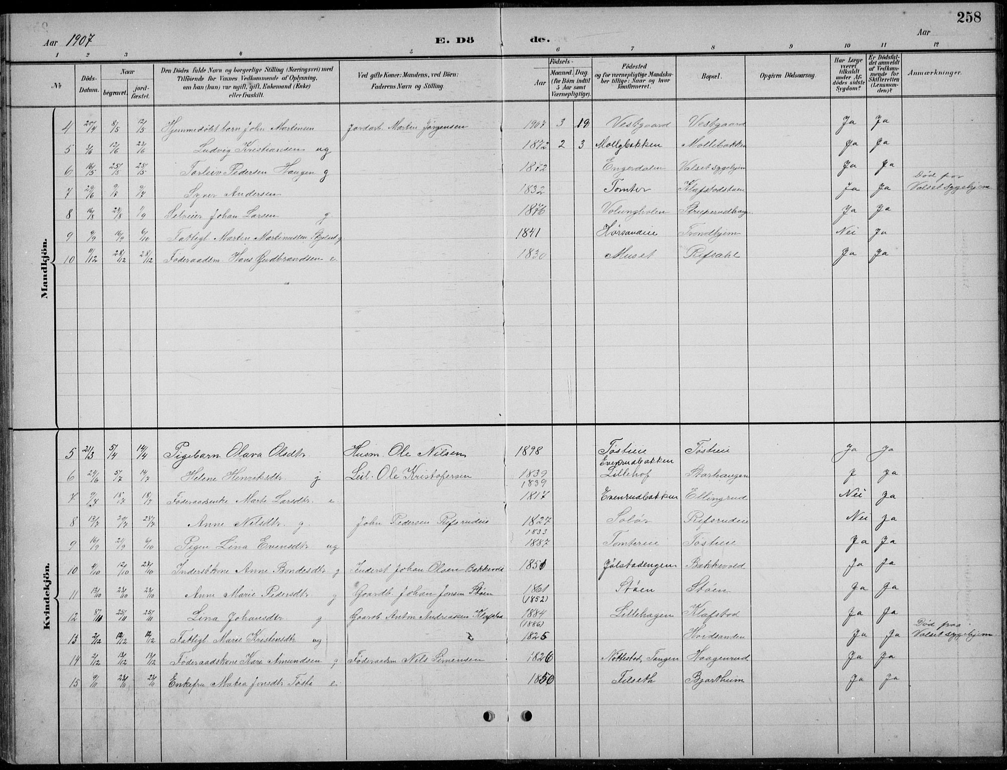 Romedal prestekontor, AV/SAH-PREST-004/L/L0013: Parish register (copy) no. 13, 1896-1937, p. 258