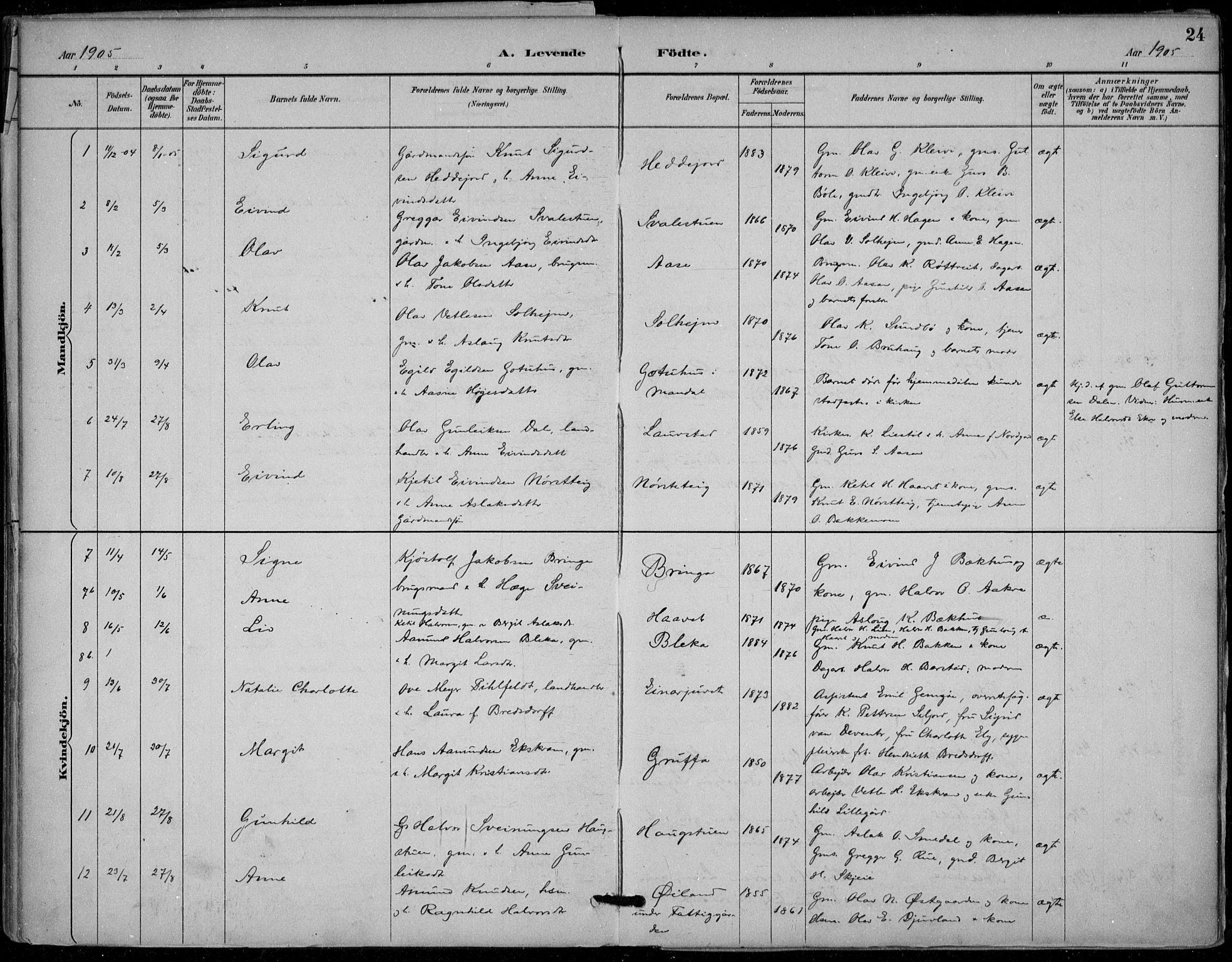 Seljord kirkebøker, AV/SAKO-A-20/F/Fb/L0002: Parish register (official) no. II 2, 1887-1917, p. 24