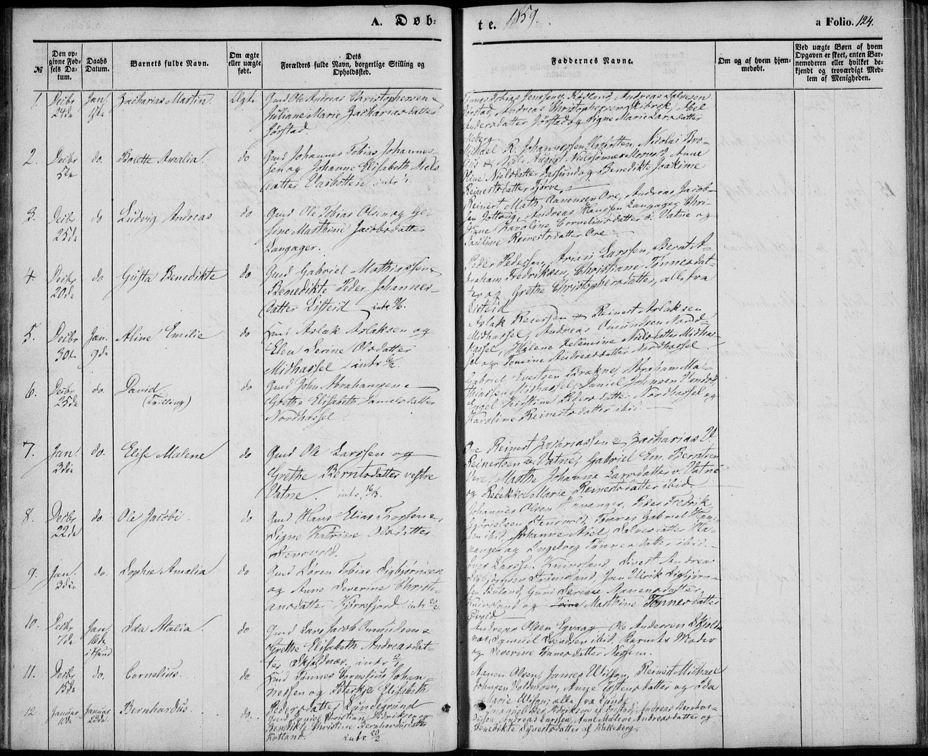 Lista sokneprestkontor, AV/SAK-1111-0027/F/Fb/L0002: Parish register (copy) no. B 2, 1847-1862, p. 124