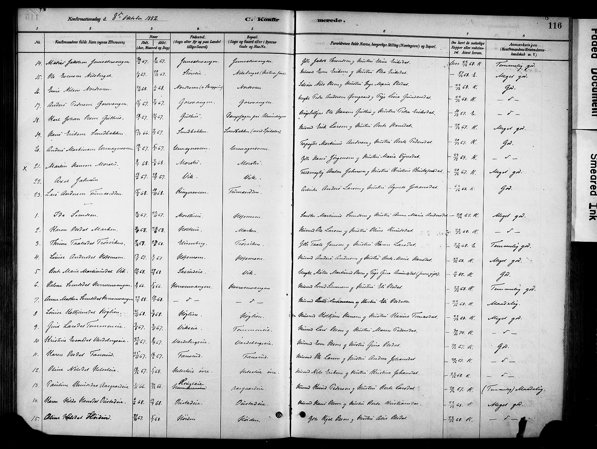 Stange prestekontor, AV/SAH-PREST-002/K/L0018: Parish register (official) no. 18, 1880-1896, p. 116