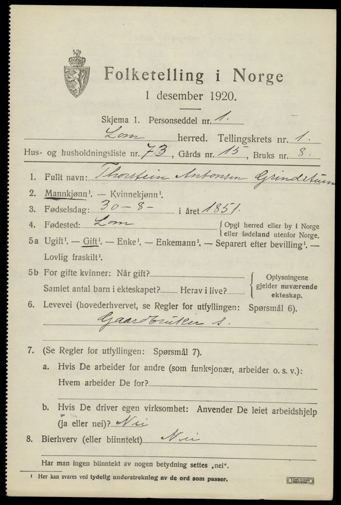 SAH, 1920 census for Lom, 1920, p. 1766