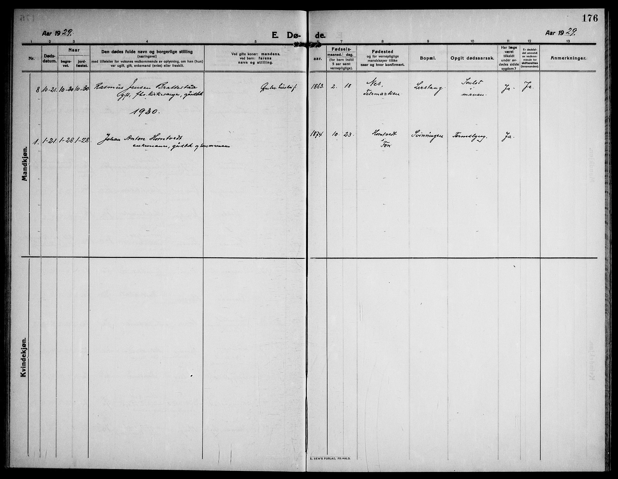 Ramnes kirkebøker, AV/SAKO-A-314/F/Fa/L0009: Parish register (official) no. I 9, 1912-1929, p. 176