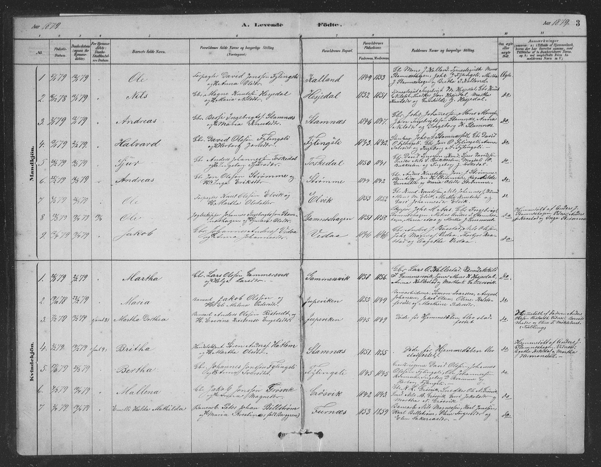 Vaksdal Sokneprestembete, SAB/A-78901/H/Hab: Parish register (copy) no. D 1, 1878-1939, p. 3