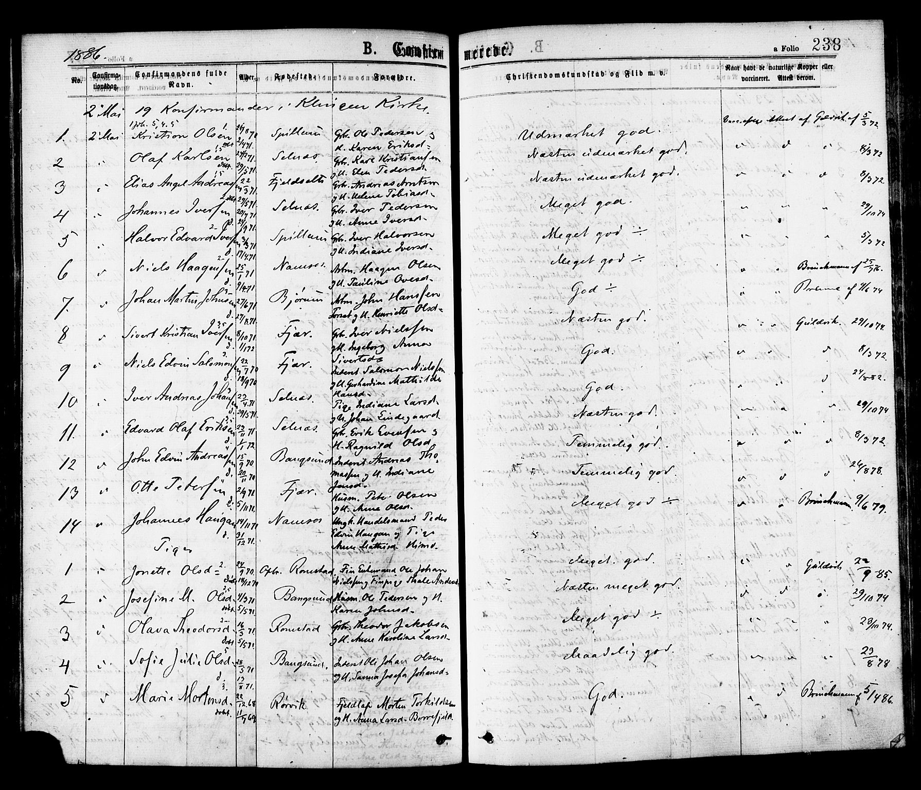 Ministerialprotokoller, klokkerbøker og fødselsregistre - Nord-Trøndelag, SAT/A-1458/768/L0572: Parish register (official) no. 768A07, 1874-1886, p. 238