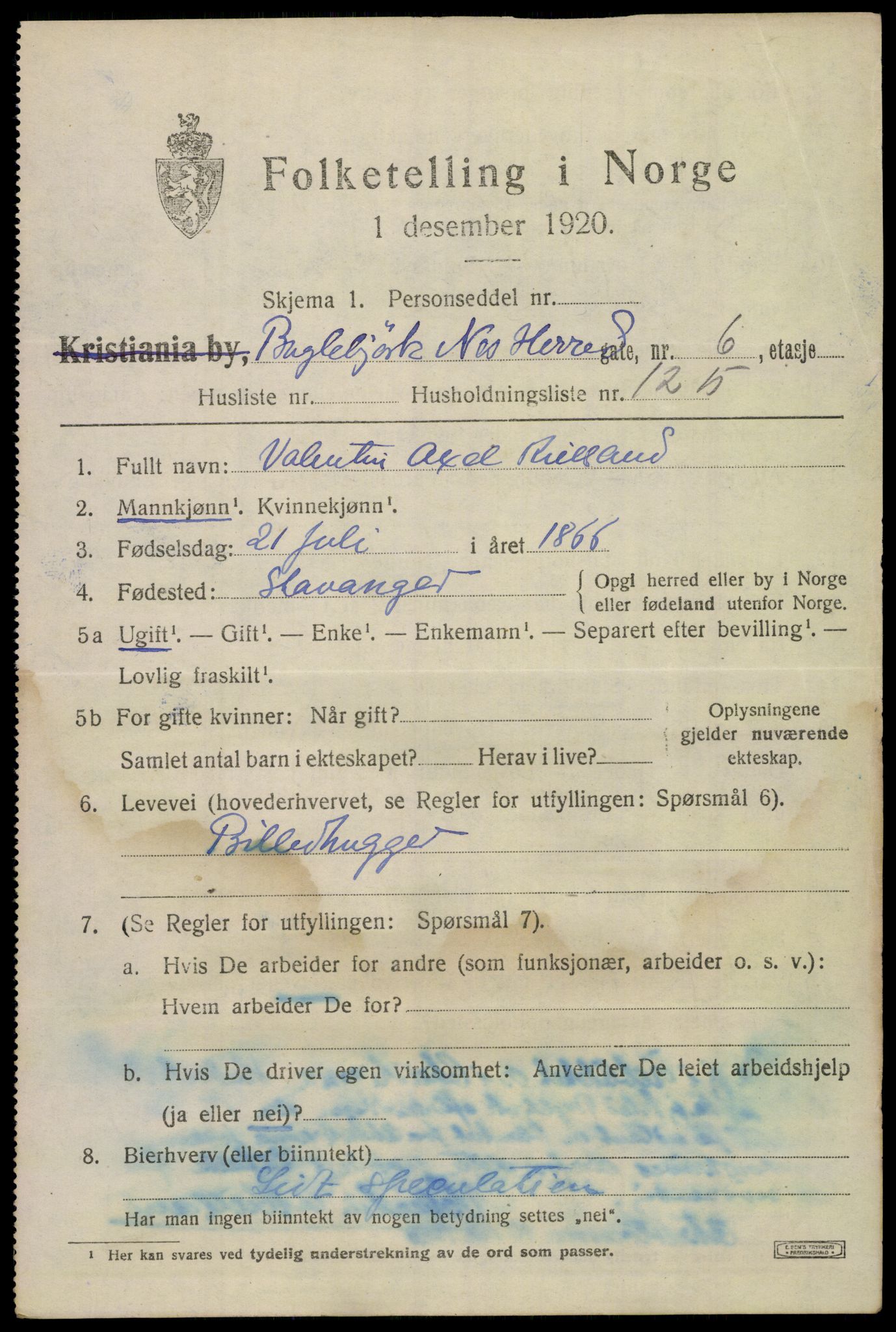 SAKO, 1920 census for Nes (Buskerud), 1920, p. 4538