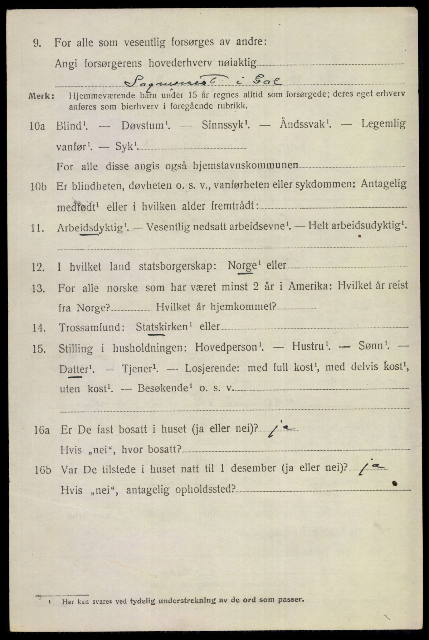 SAKO, 1920 census for Gol, 1920, p. 4569