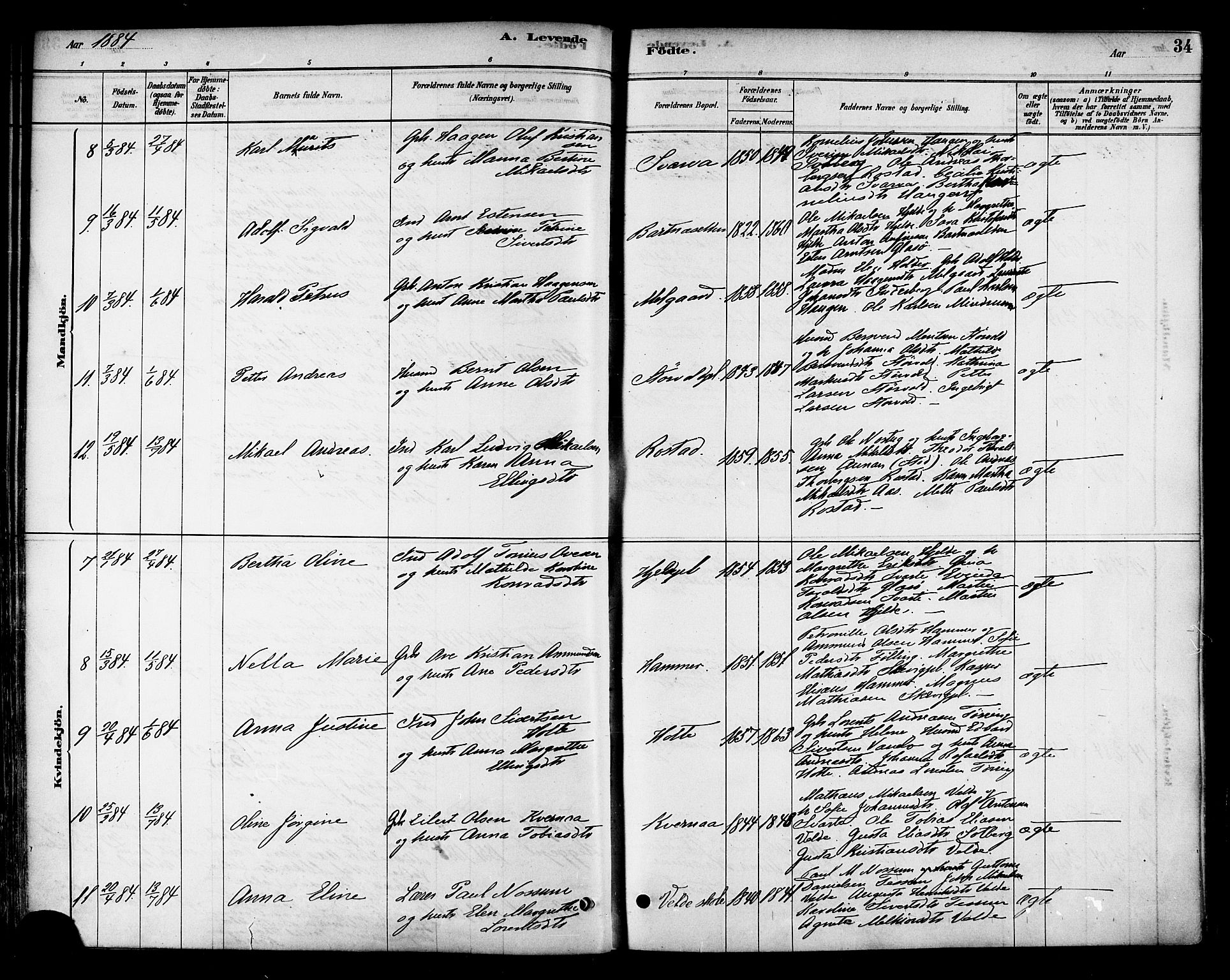 Ministerialprotokoller, klokkerbøker og fødselsregistre - Nord-Trøndelag, AV/SAT-A-1458/741/L0395: Parish register (official) no. 741A09, 1878-1888, p. 34