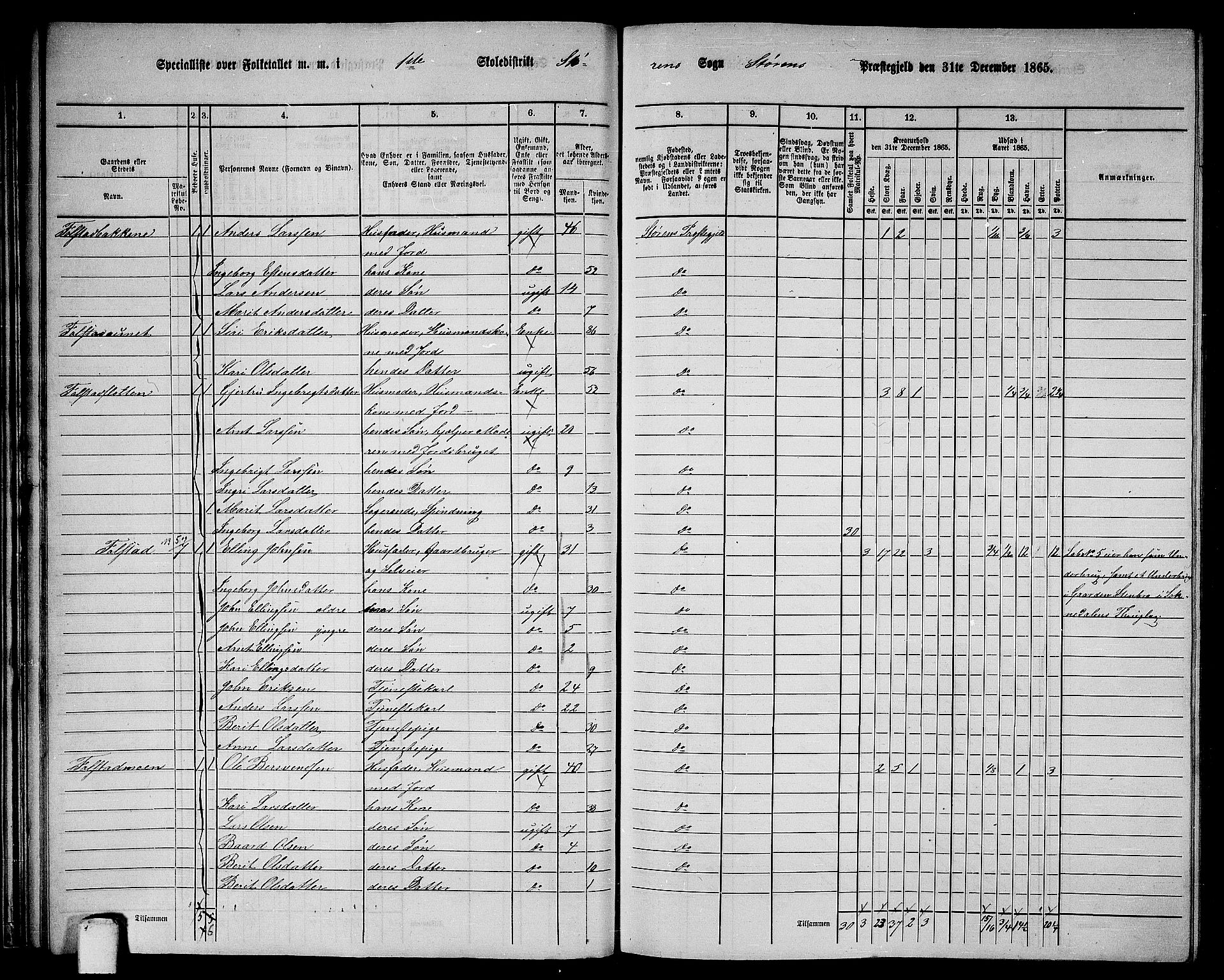 RA, 1865 census for Støren, 1865, p. 32