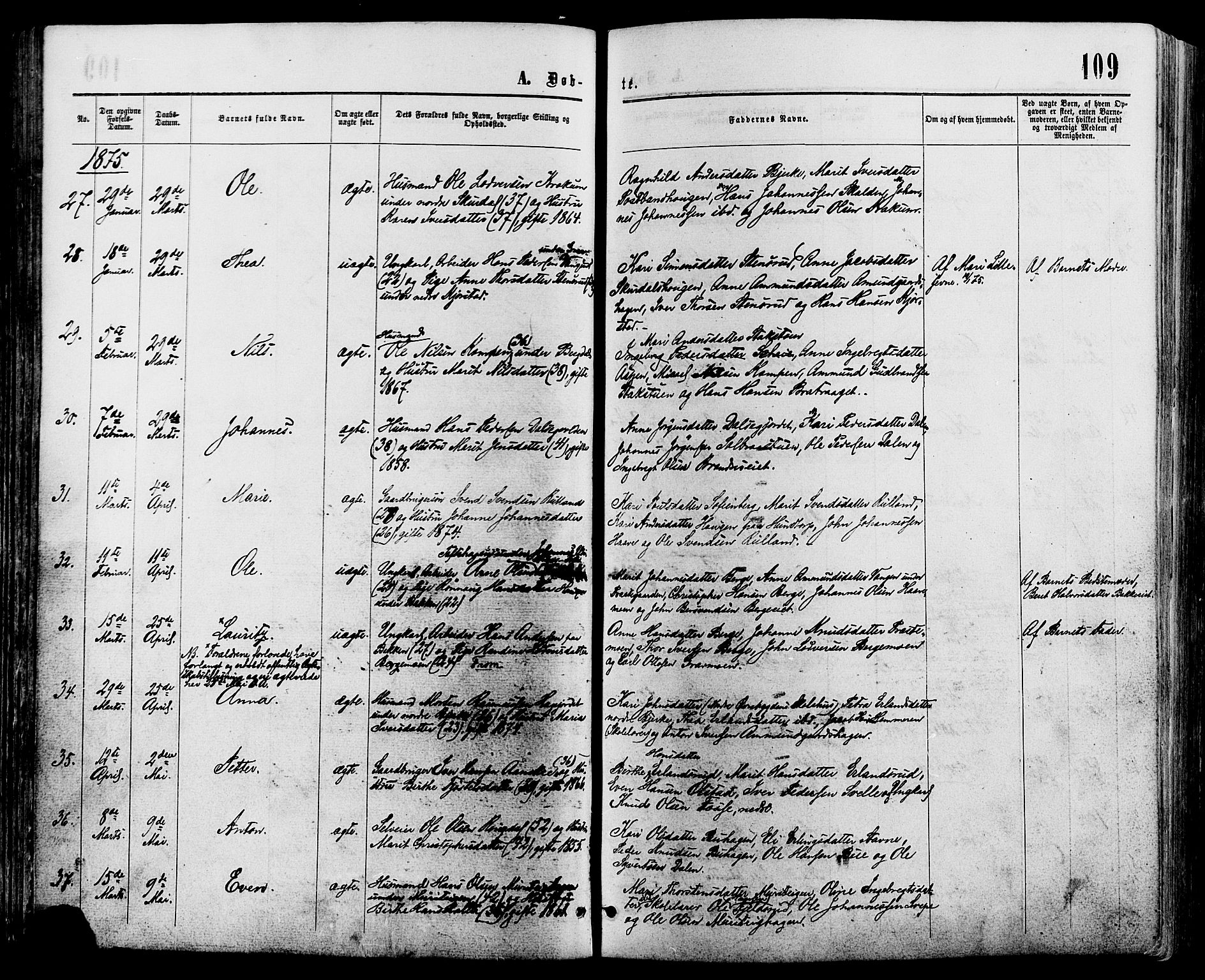 Sør-Fron prestekontor, AV/SAH-PREST-010/H/Ha/Haa/L0002: Parish register (official) no. 2, 1864-1880, p. 109