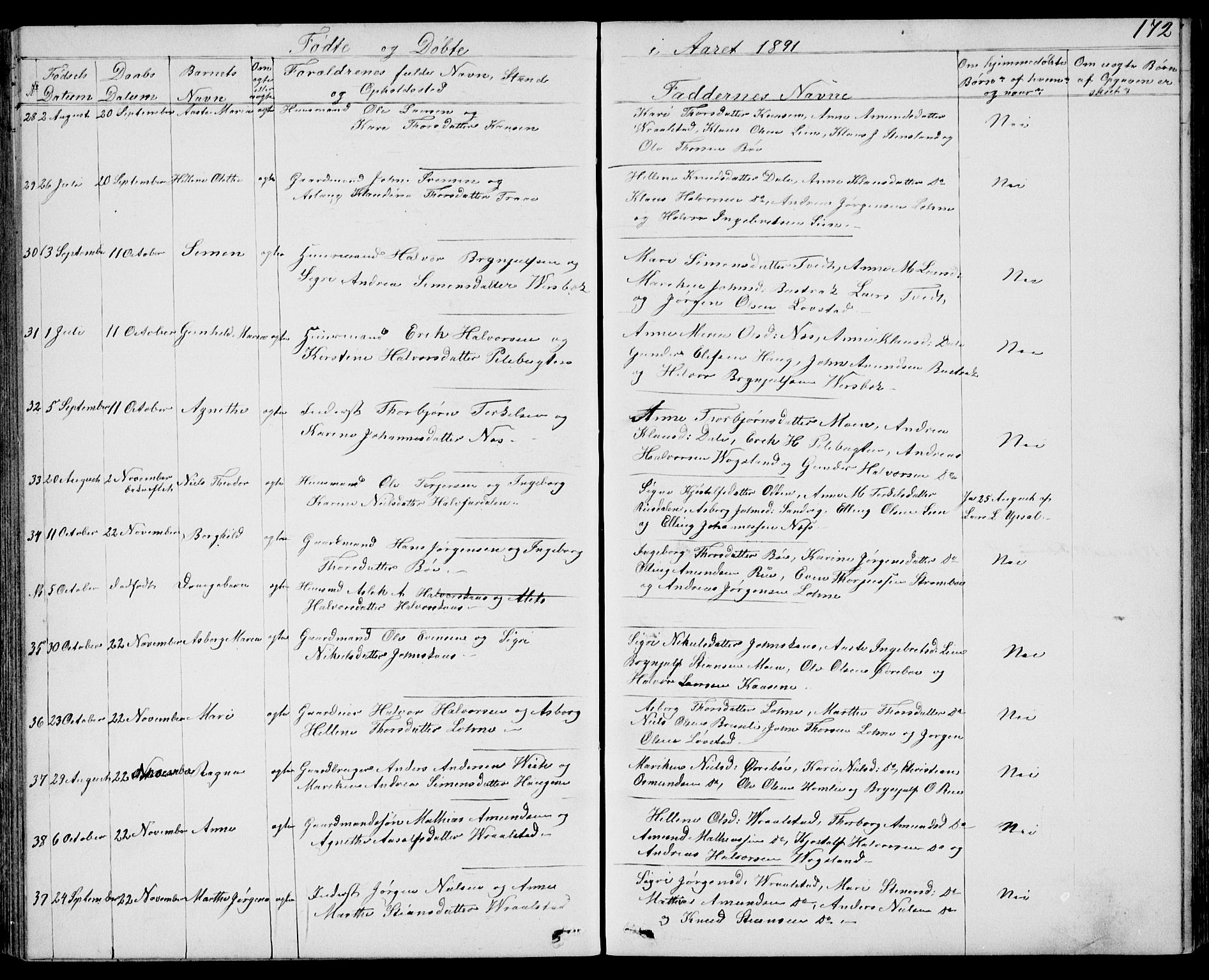 Drangedal kirkebøker, SAKO/A-258/G/Gb/L0001: Parish register (copy) no. II 1, 1856-1894, p. 172