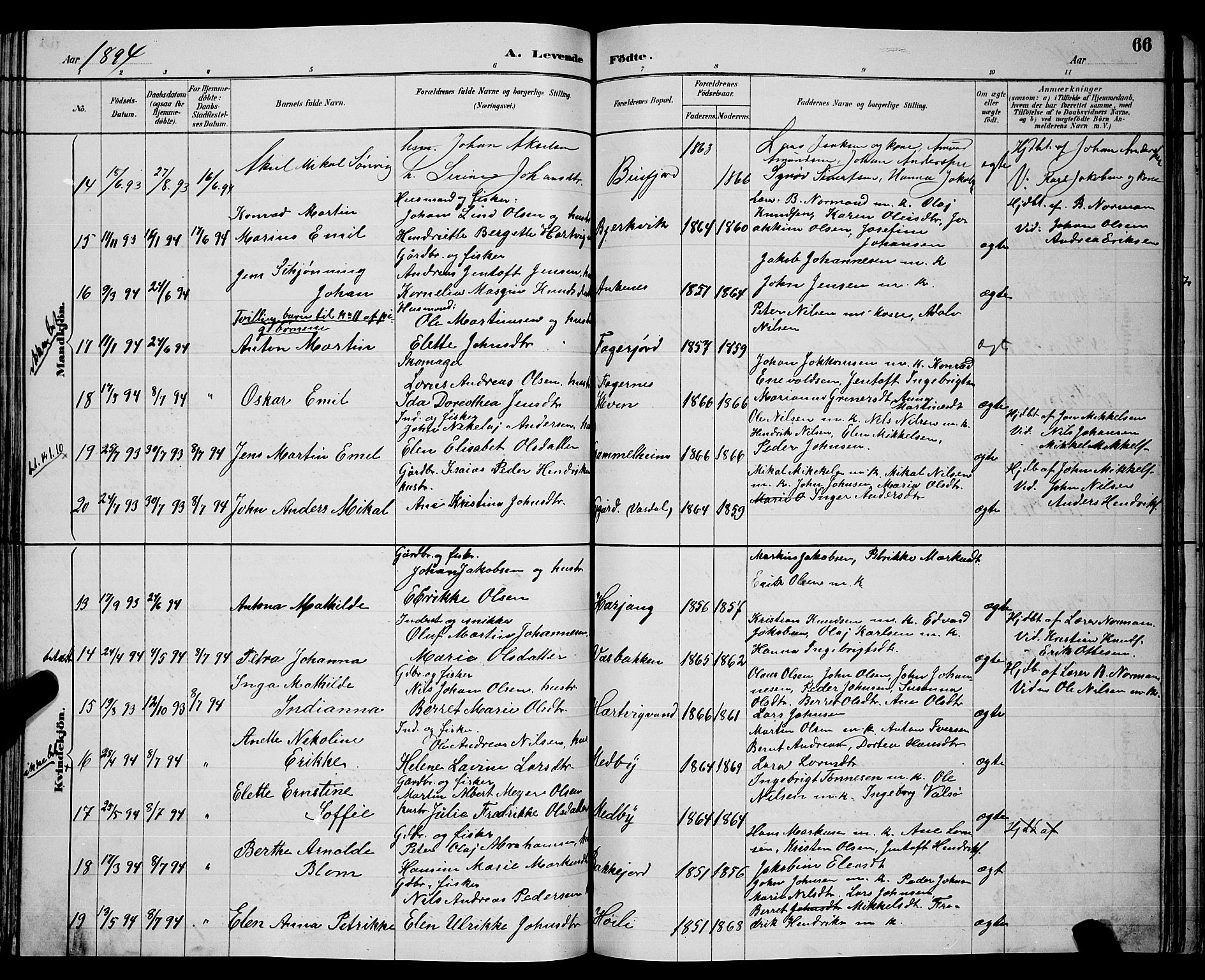 Ministerialprotokoller, klokkerbøker og fødselsregistre - Nordland, AV/SAT-A-1459/866/L0952: Parish register (copy) no. 866C01, 1886-1899, p. 66