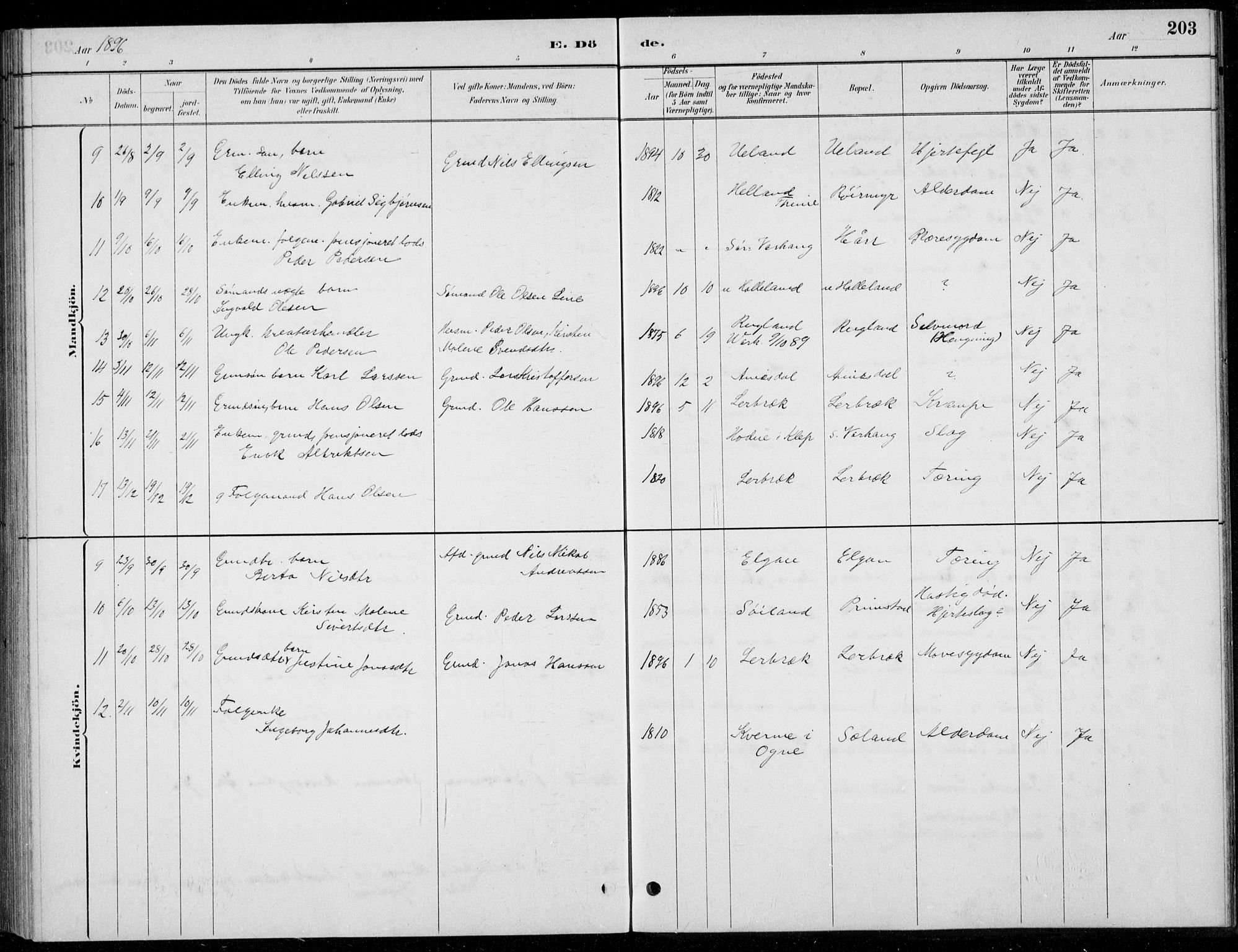 Hå sokneprestkontor, AV/SAST-A-101801/001/30BB/L0004: Parish register (copy) no. B 4, 1883-1899, p. 203