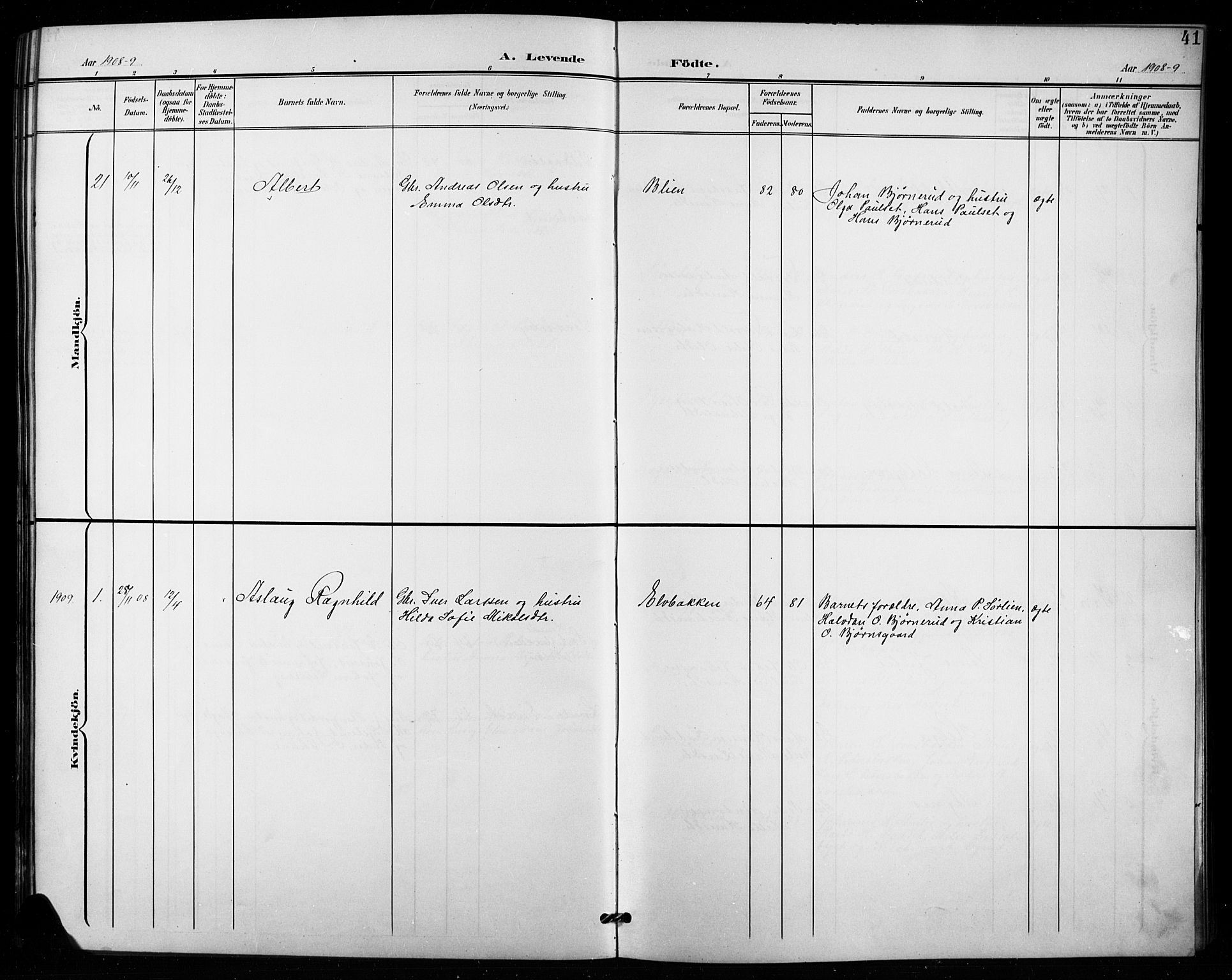 Vestre Toten prestekontor, SAH/PREST-108/H/Ha/Hab/L0016: Parish register (copy) no. 16, 1901-1915, p. 41