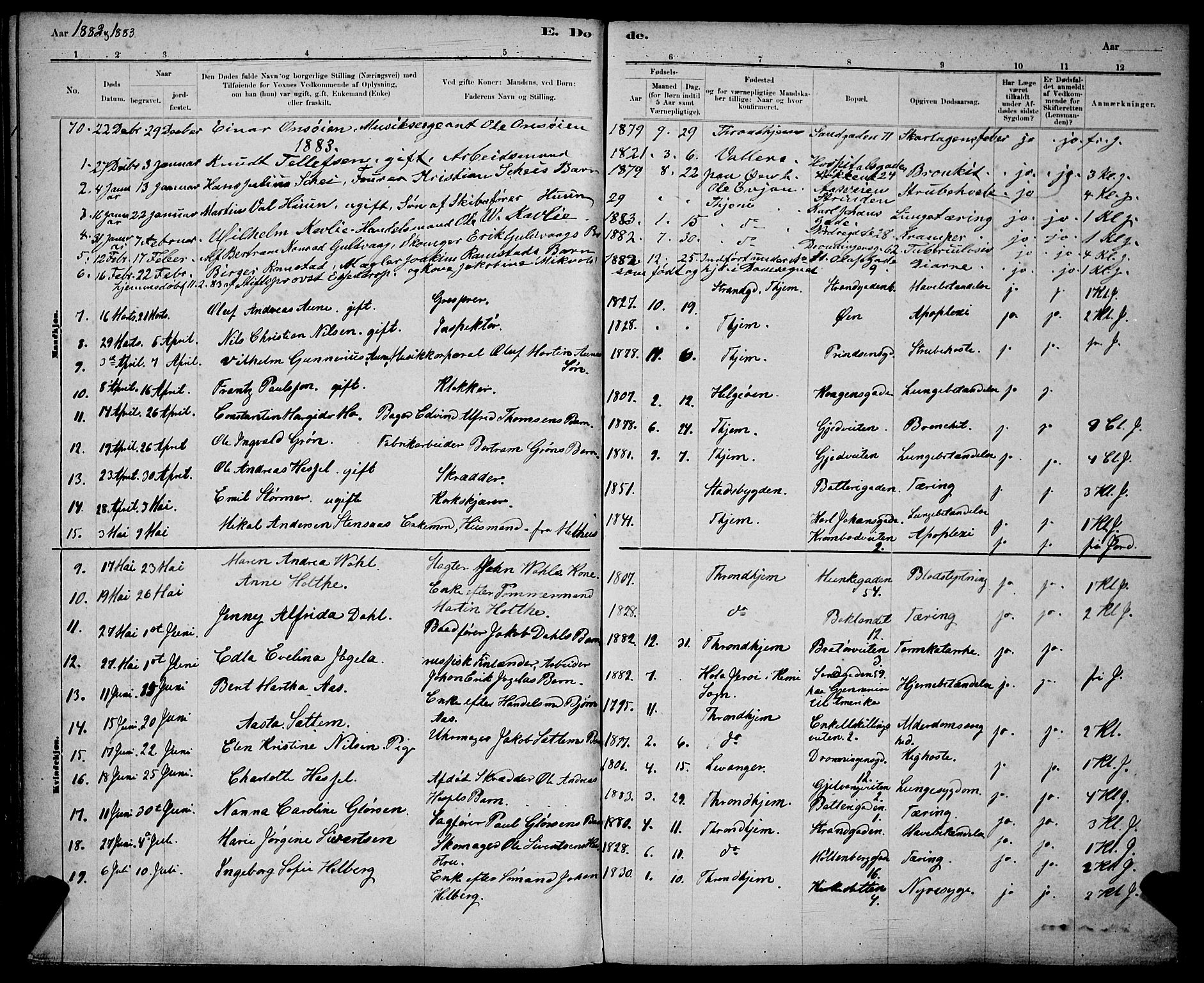 Ministerialprotokoller, klokkerbøker og fødselsregistre - Sør-Trøndelag, AV/SAT-A-1456/602/L0143: Parish register (copy) no. 602C11, 1878-1902