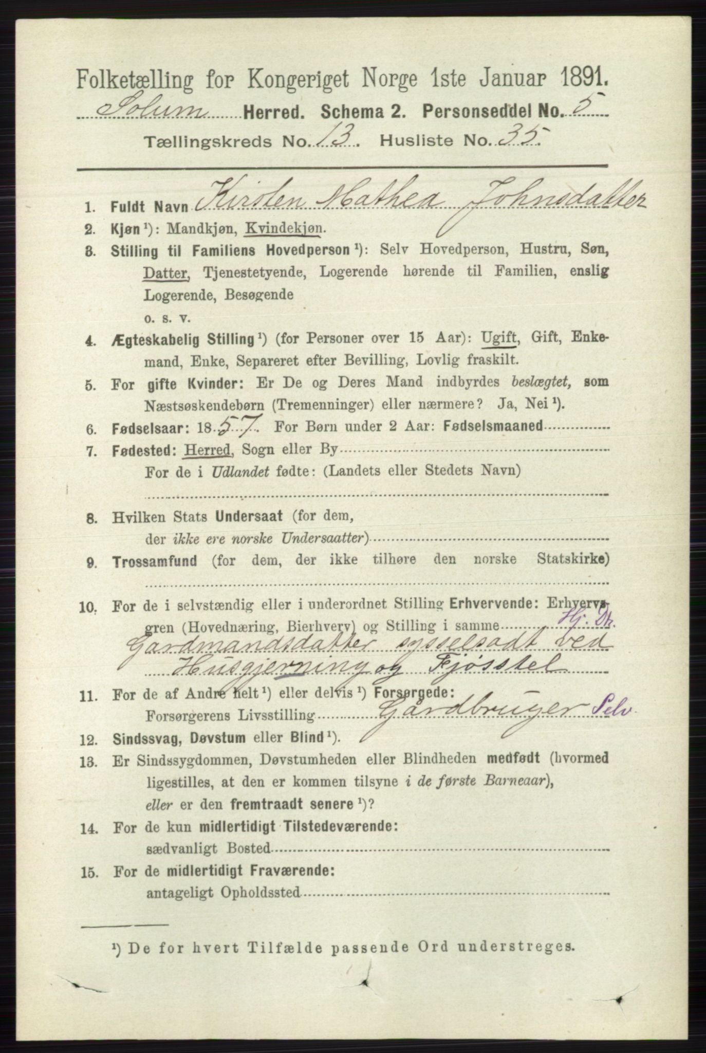 RA, 1891 census for 0818 Solum, 1891, p. 6229