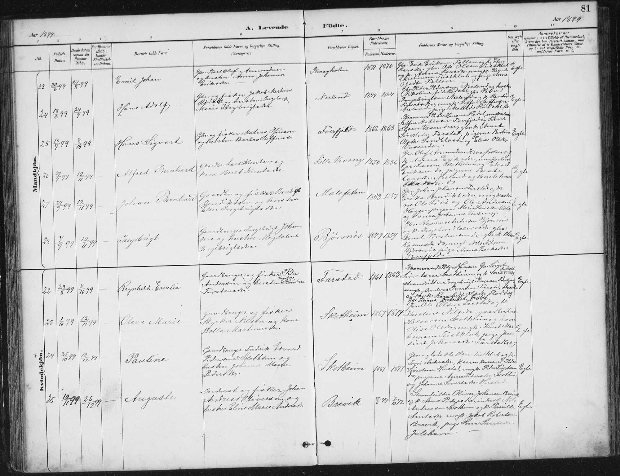 Ministerialprotokoller, klokkerbøker og fødselsregistre - Møre og Romsdal, AV/SAT-A-1454/567/L0783: Parish register (copy) no. 567C03, 1887-1903, p. 81