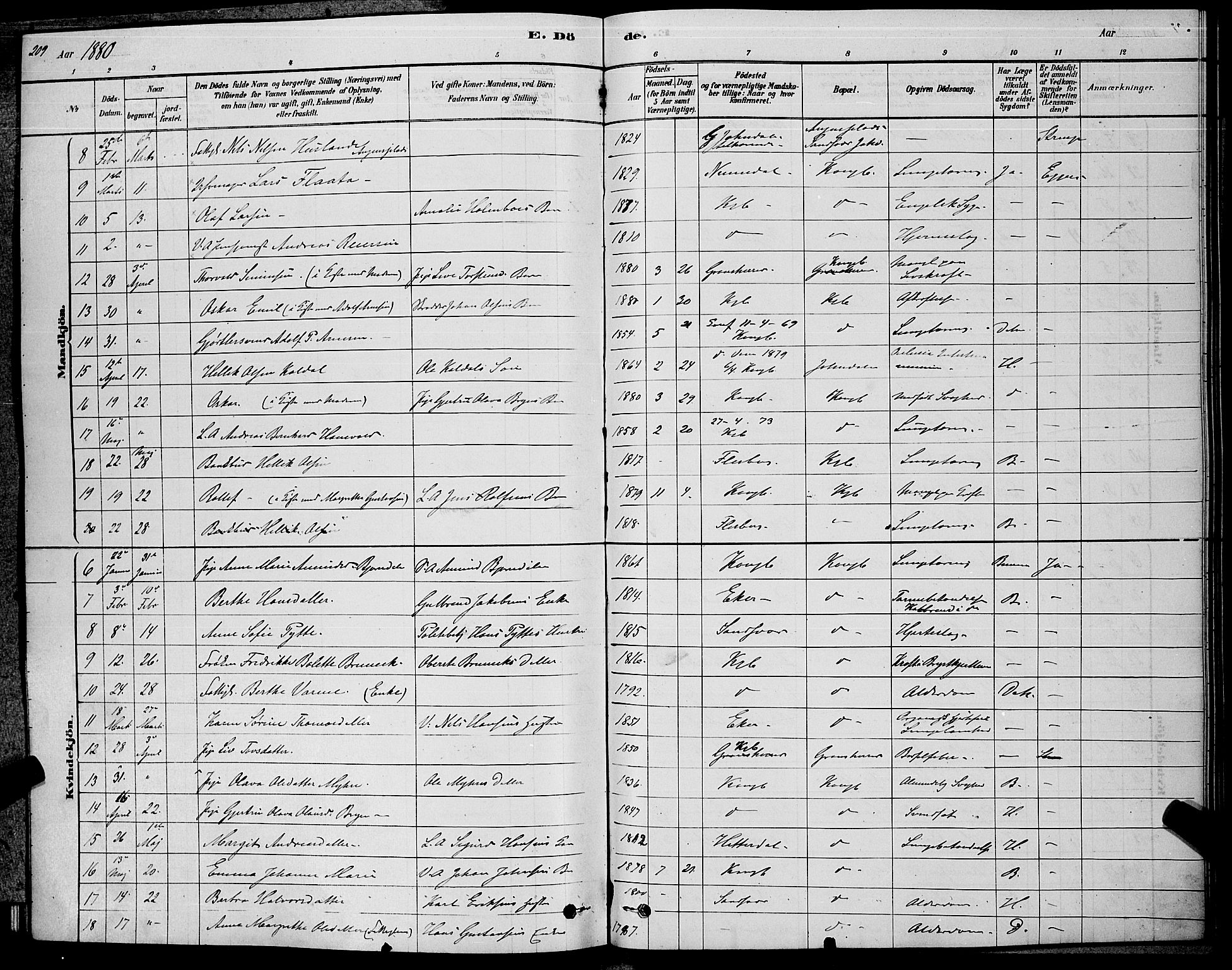 Kongsberg kirkebøker, SAKO/A-22/G/Ga/L0005: Parish register (copy) no. 5, 1878-1889, p. 209