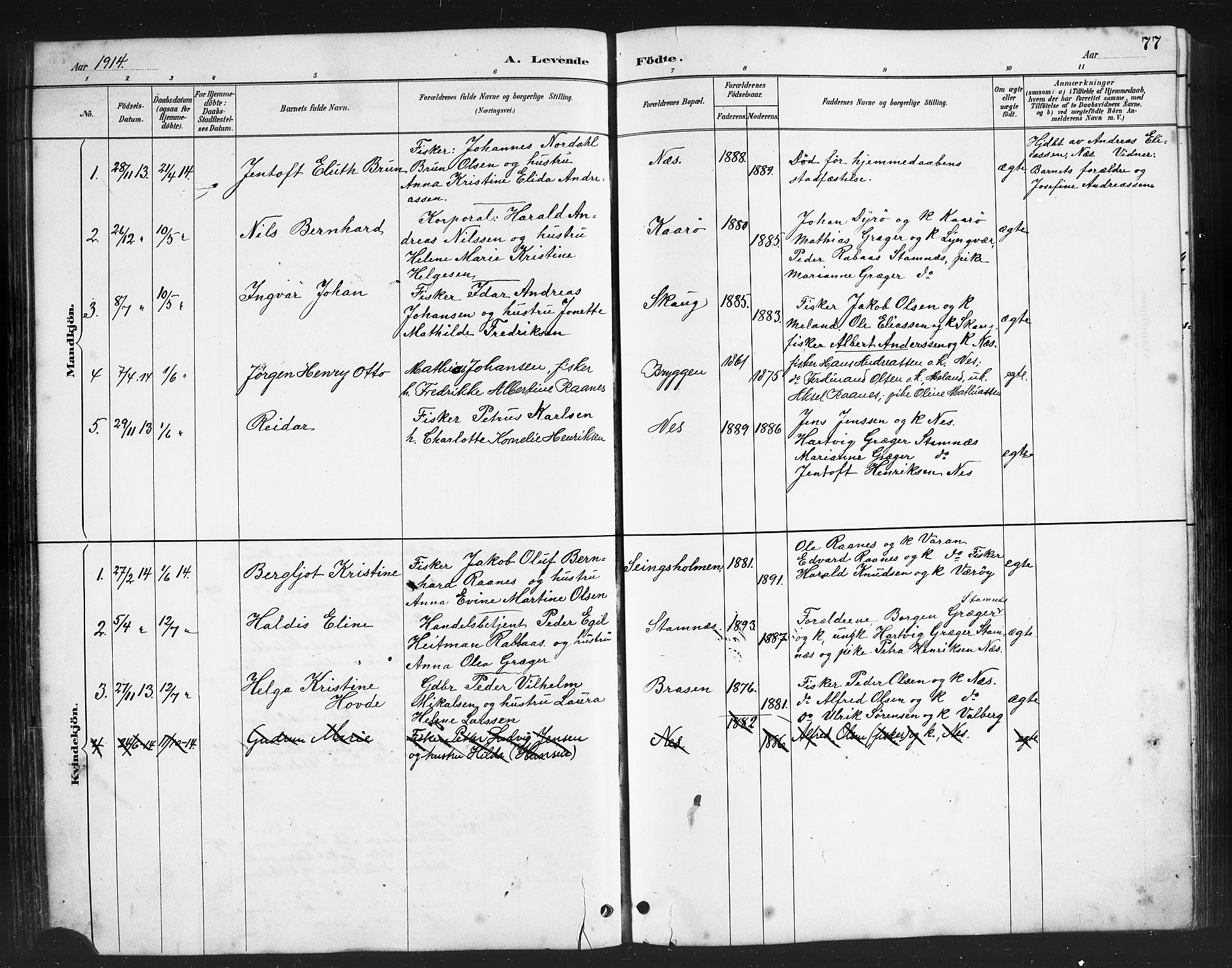 Ministerialprotokoller, klokkerbøker og fødselsregistre - Nordland, AV/SAT-A-1459/808/L0131: Parish register (copy) no. 808C02, 1879-1919, p. 77