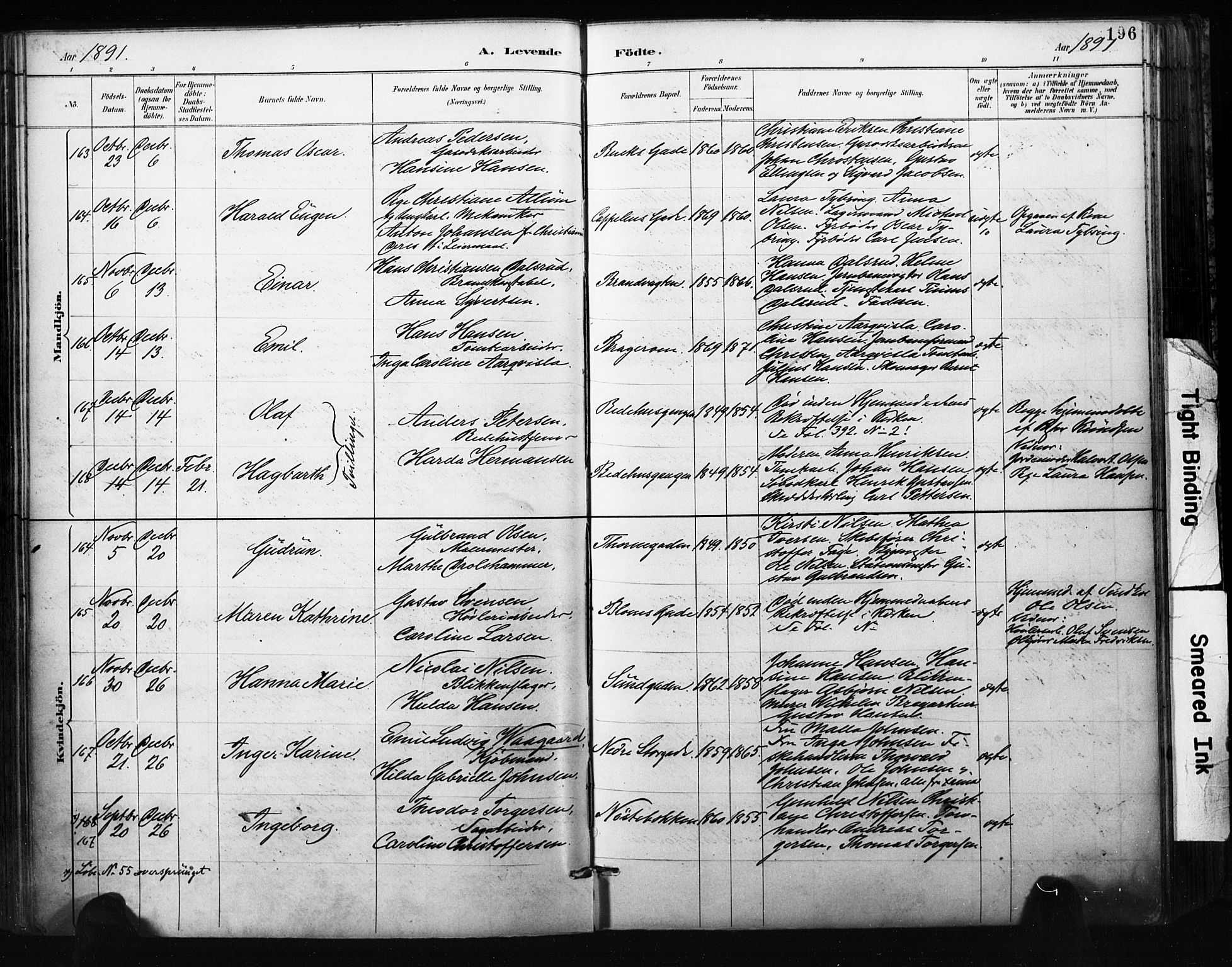 Bragernes kirkebøker, AV/SAKO-A-6/F/Fb/L0007: Parish register (official) no. II 7, 1885-1893, p. 196