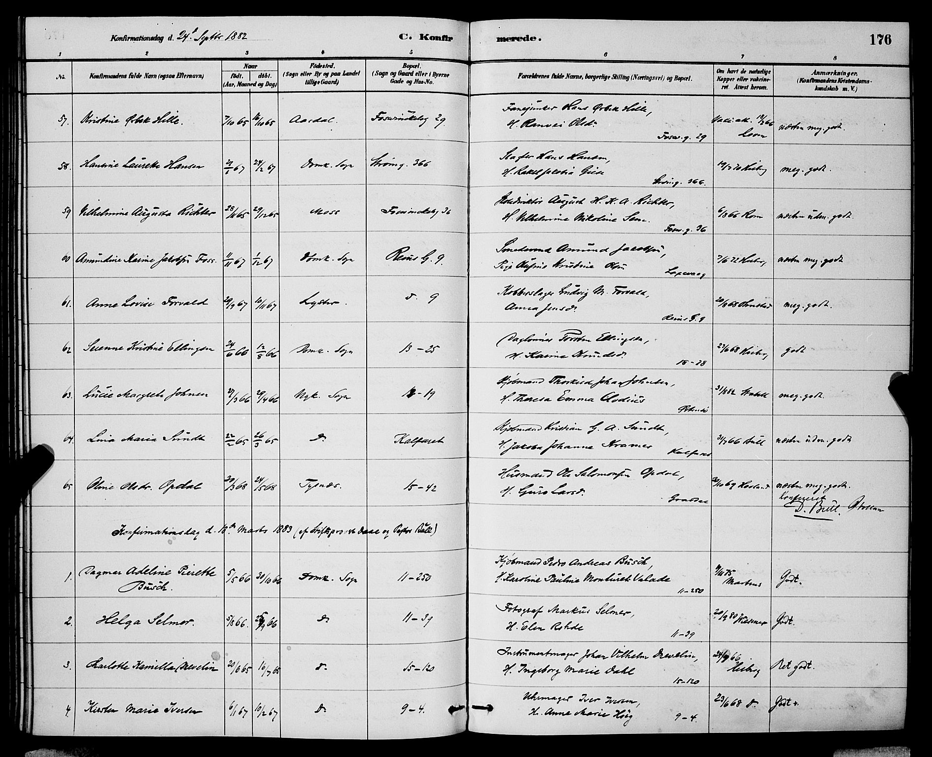 Domkirken sokneprestembete, SAB/A-74801/H/Hab/L0024: Parish register (copy) no. C 4, 1880-1899, p. 176