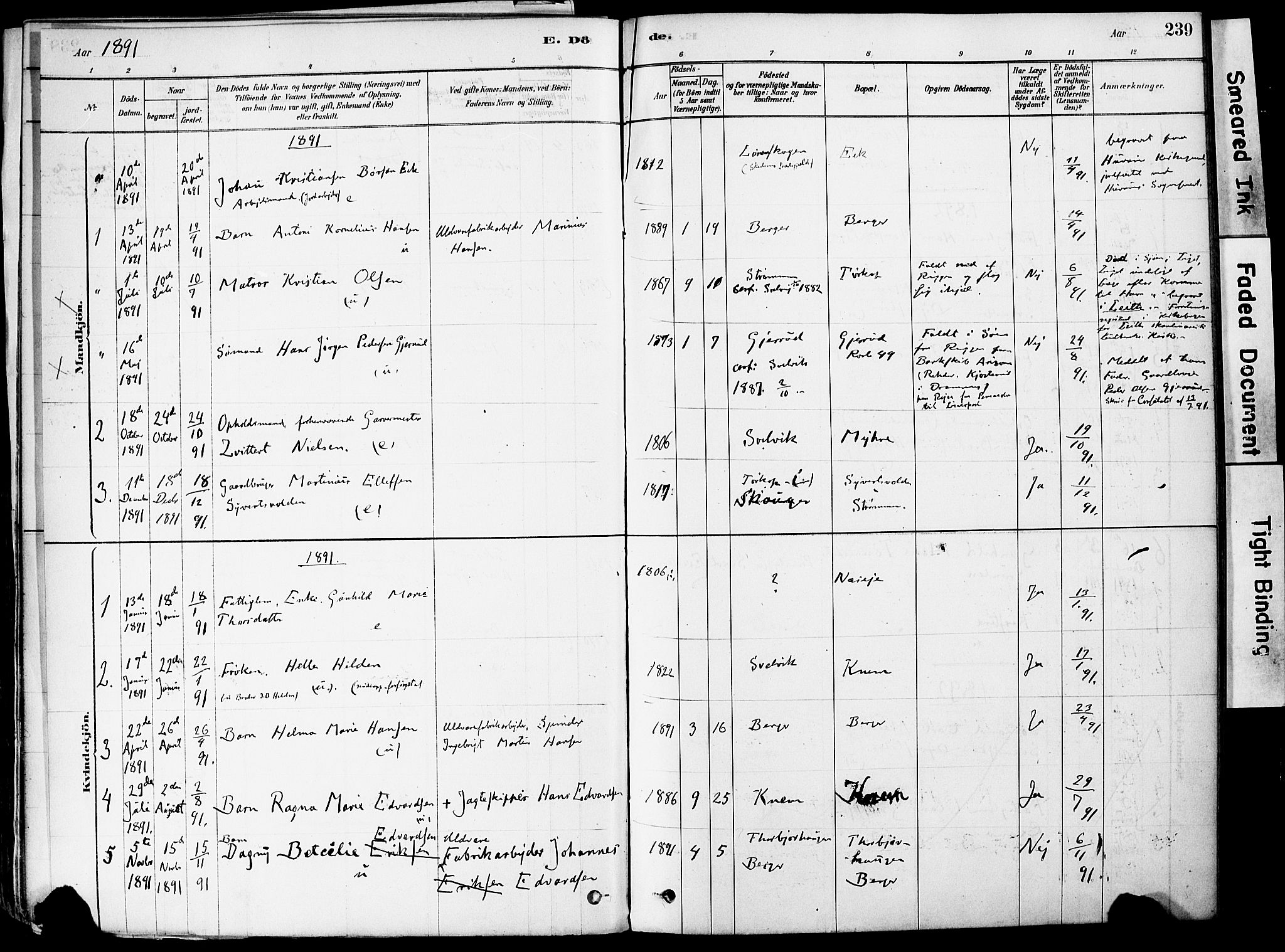 Strømm kirkebøker, AV/SAKO-A-322/F/Fa/L0004: Parish register (official) no. I 4, 1878-1899, p. 239