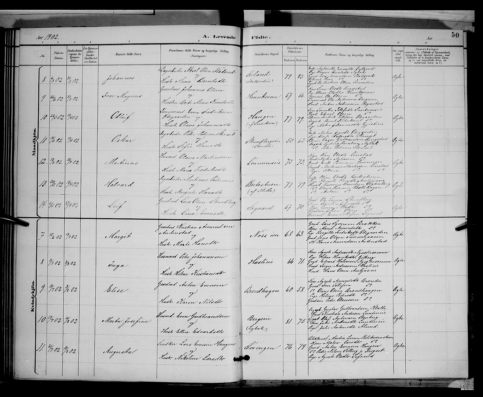 Biri prestekontor, AV/SAH-PREST-096/H/Ha/Hab/L0003: Parish register (copy) no. 3, 1892-1905, p. 50