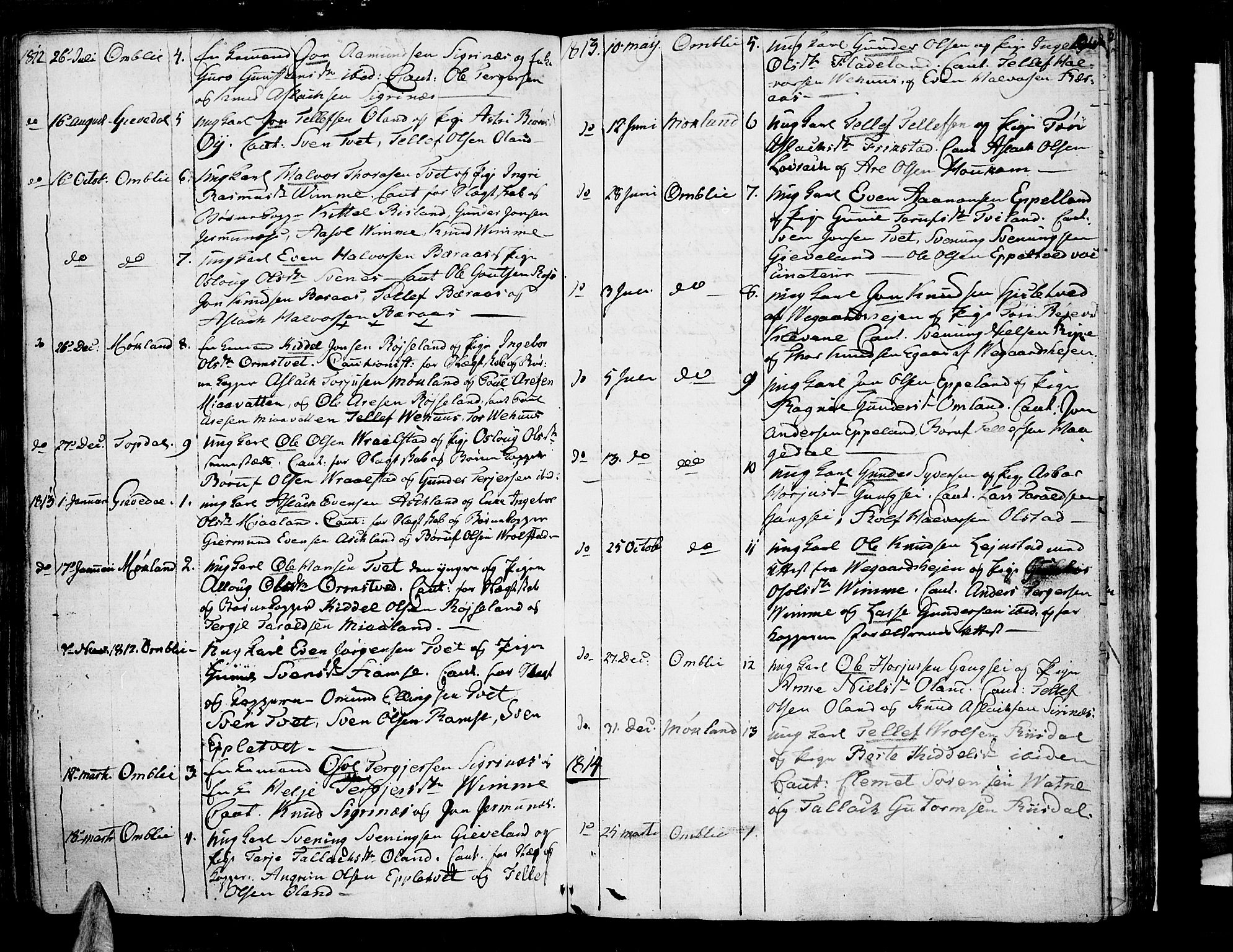 Åmli sokneprestkontor, AV/SAK-1111-0050/F/Fa/Fac/L0005: Parish register (official) no. A 5, 1796-1816, p. 191