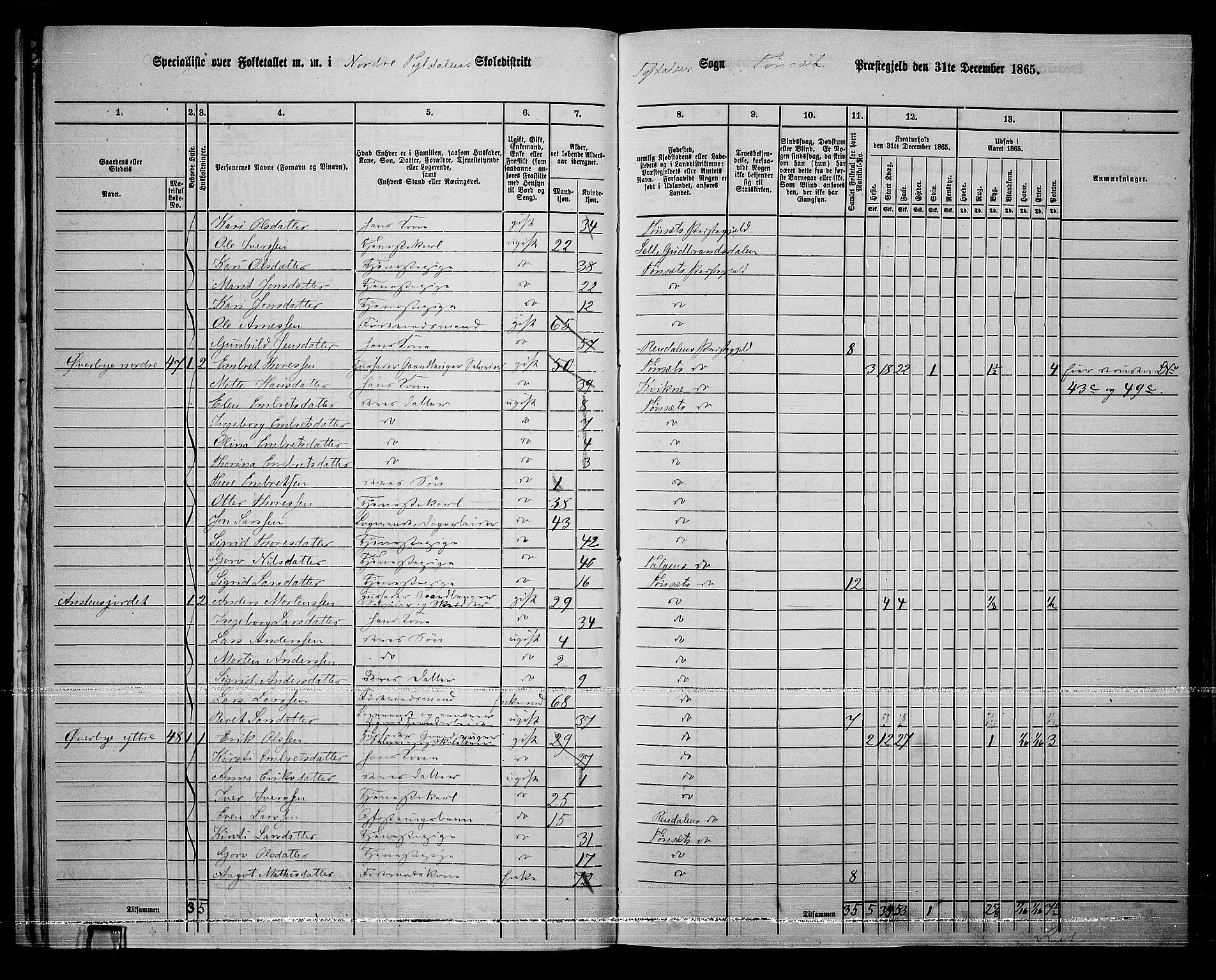 RA, 1865 census for Tynset, 1865, p. 30