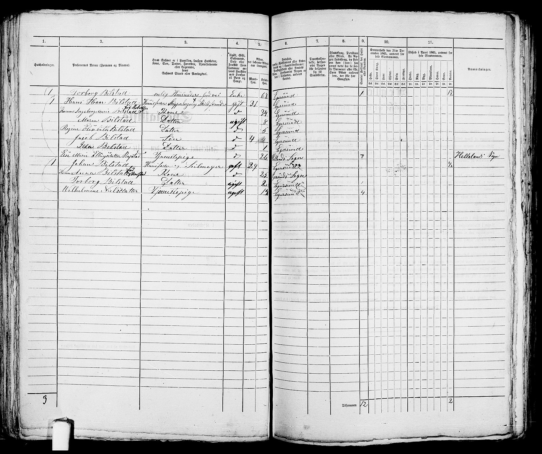 RA, 1865 census for Eigersund parish, Egersund town, 1865, p. 85