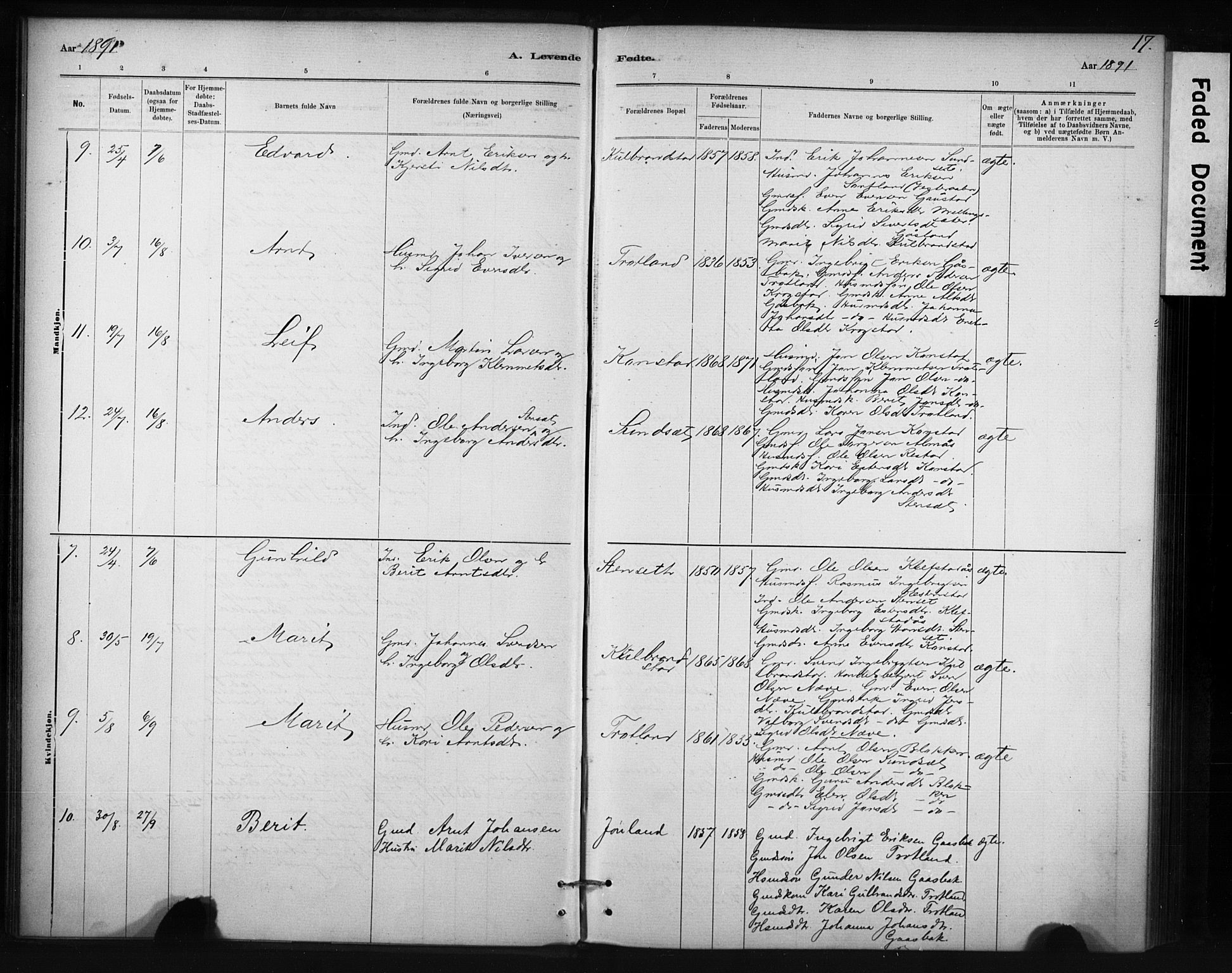 Ministerialprotokoller, klokkerbøker og fødselsregistre - Sør-Trøndelag, SAT/A-1456/694/L1127: Parish register (official) no. 694A01, 1887-1905, p. 17