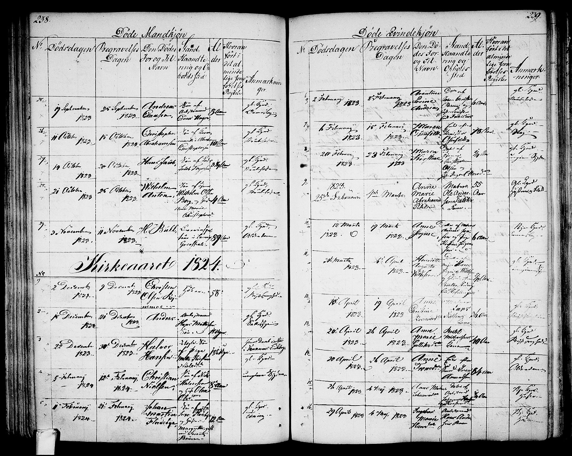 Larvik kirkebøker, SAKO/A-352/G/Ga/L0002: Parish register (copy) no. I 2, 1807-1830, p. 238-239