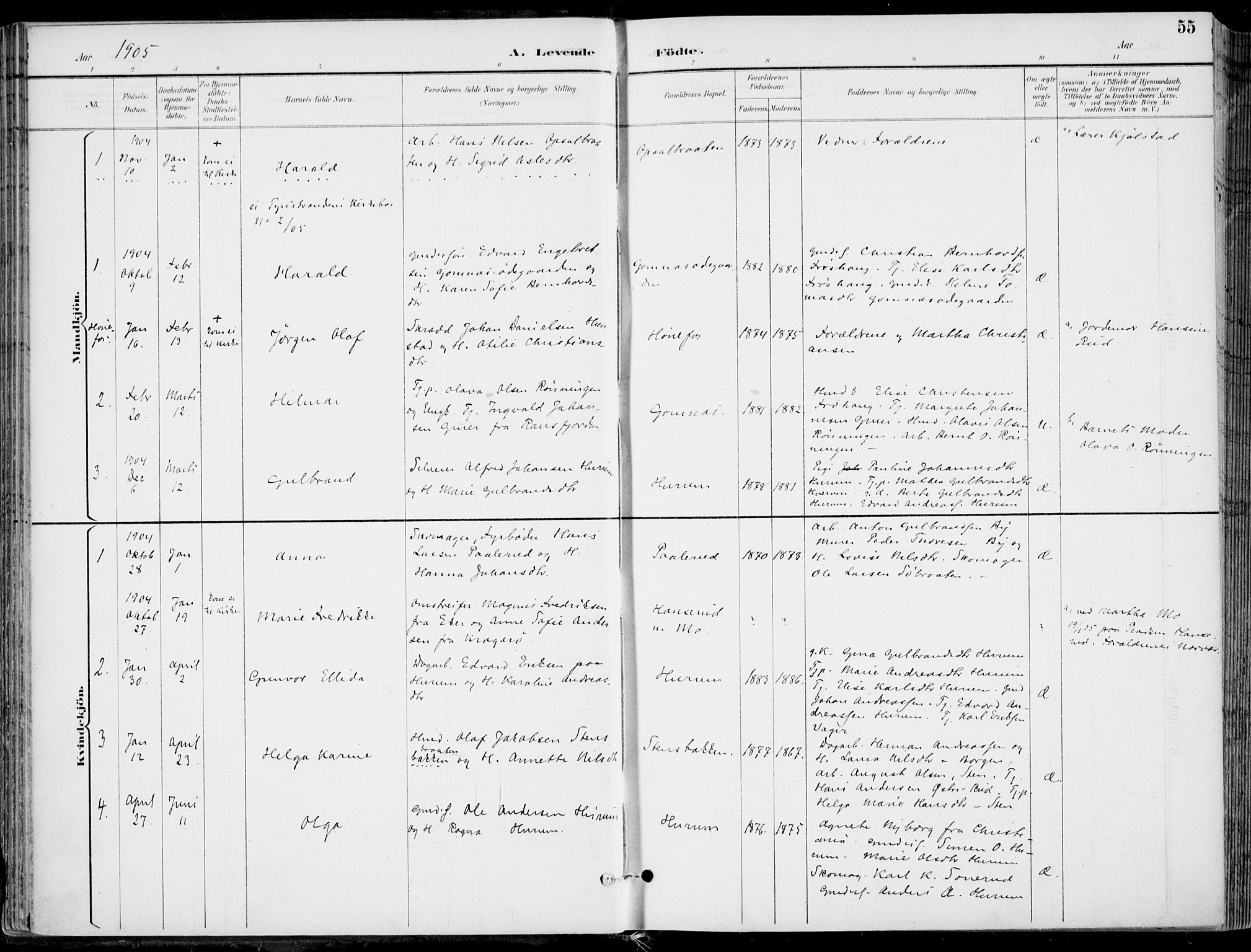Hole kirkebøker, SAKO/A-228/F/Fa/L0009: Parish register (official) no. I 9, 1892-1907, p. 55