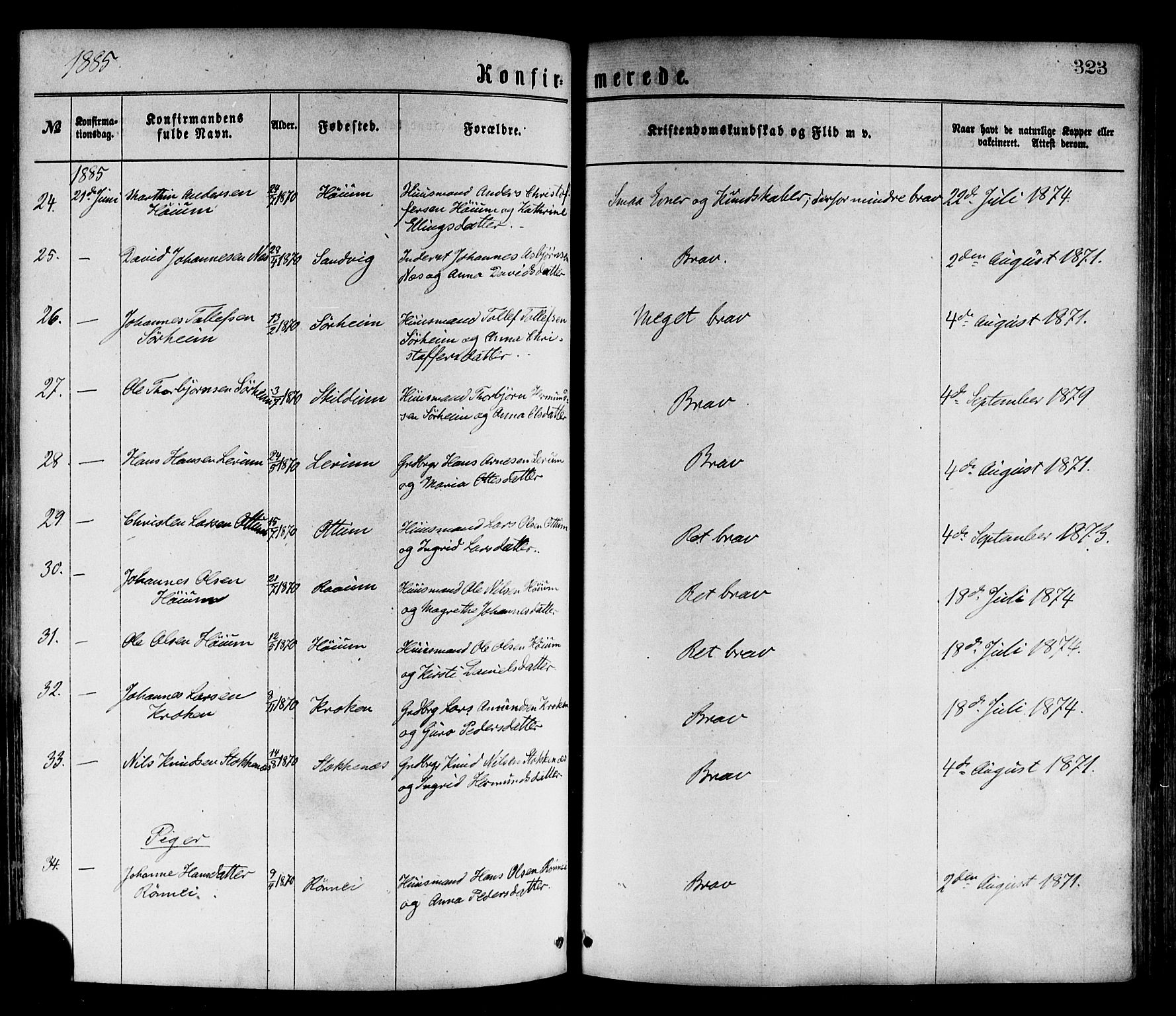 Luster sokneprestembete, AV/SAB-A-81101/H/Haa/Haaa/L0010: Parish register (official) no. A 10, 1871-1886, p. 323