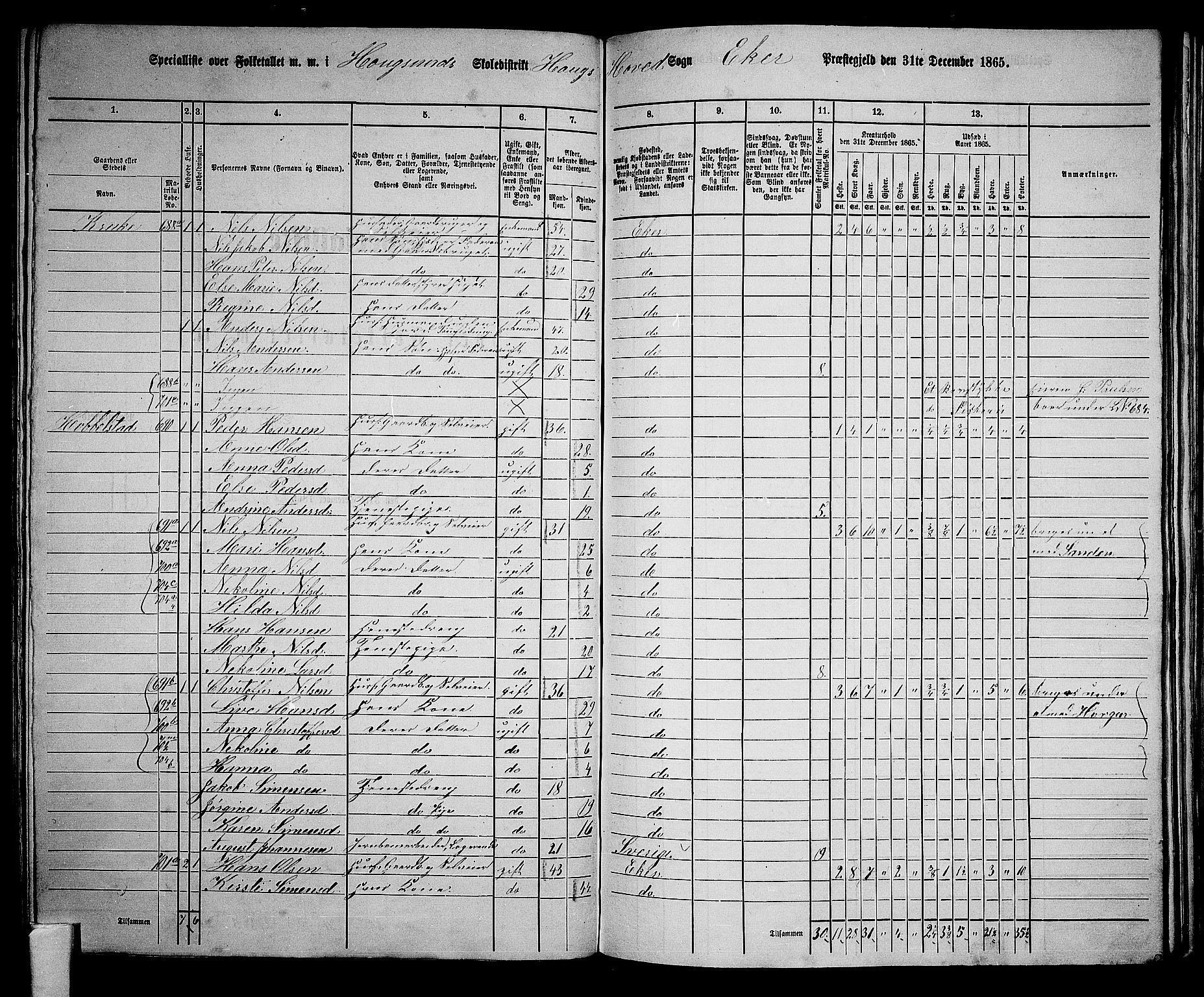 RA, 1865 census for Eiker, 1865, p. 153