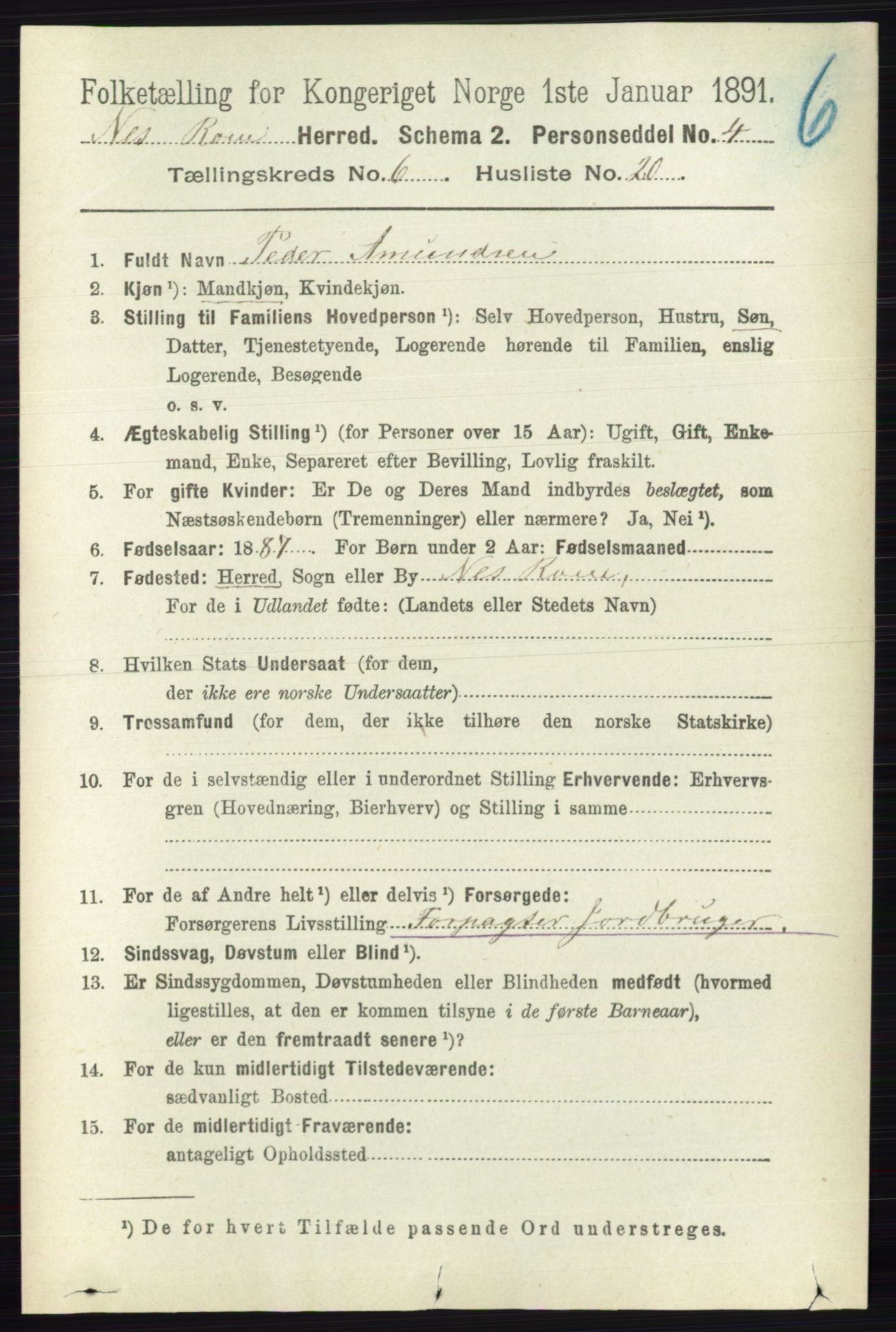 RA, 1891 census for 0236 Nes, 1891, p. 3497