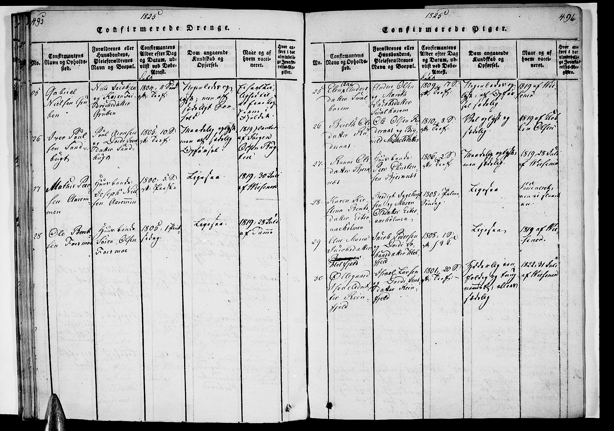 Ministerialprotokoller, klokkerbøker og fødselsregistre - Nordland, AV/SAT-A-1459/820/L0288: Parish register (official) no. 820A09, 1820-1825, p. 495-496