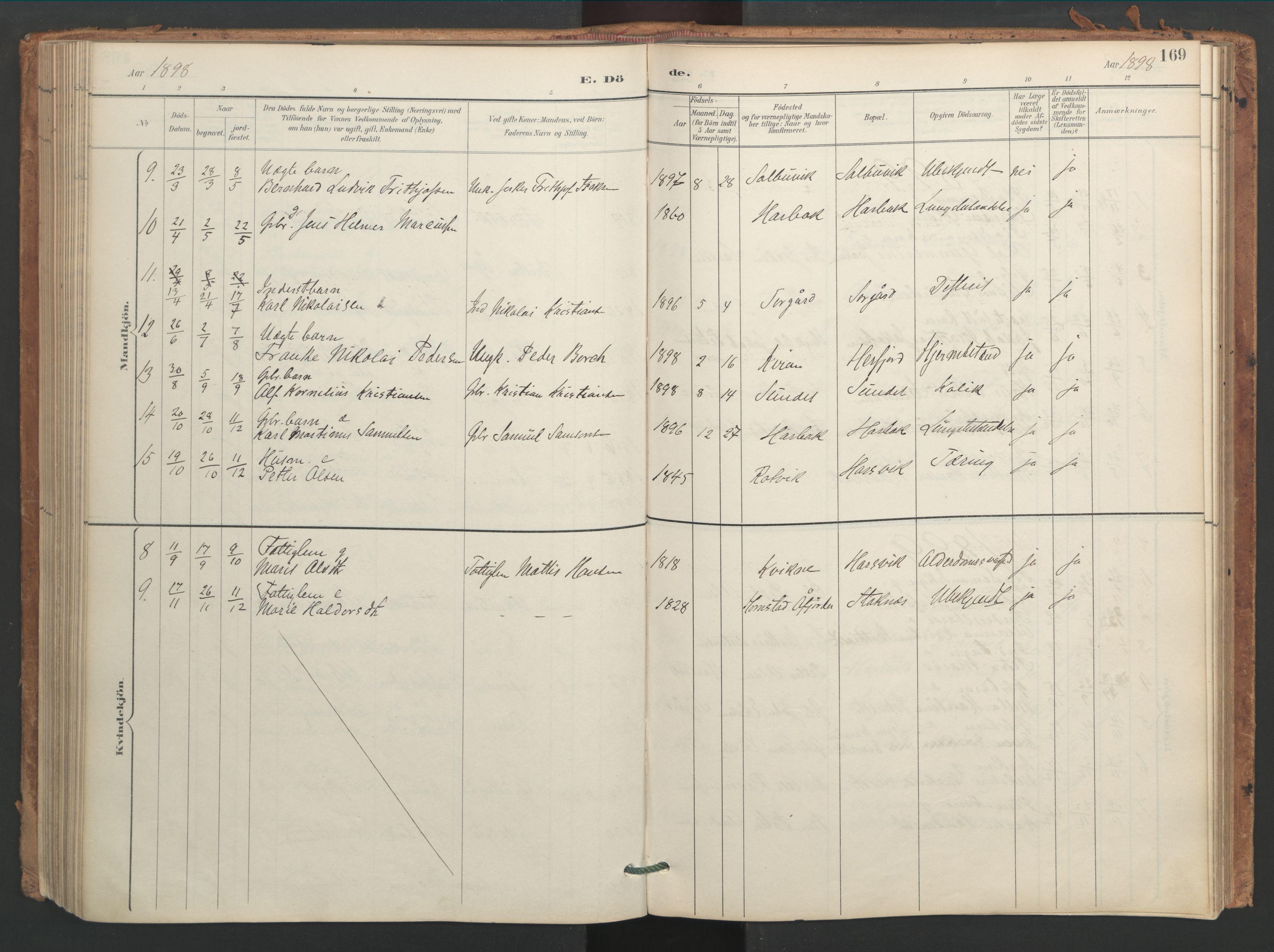 Ministerialprotokoller, klokkerbøker og fødselsregistre - Sør-Trøndelag, SAT/A-1456/656/L0693: Parish register (official) no. 656A02, 1894-1913, p. 169