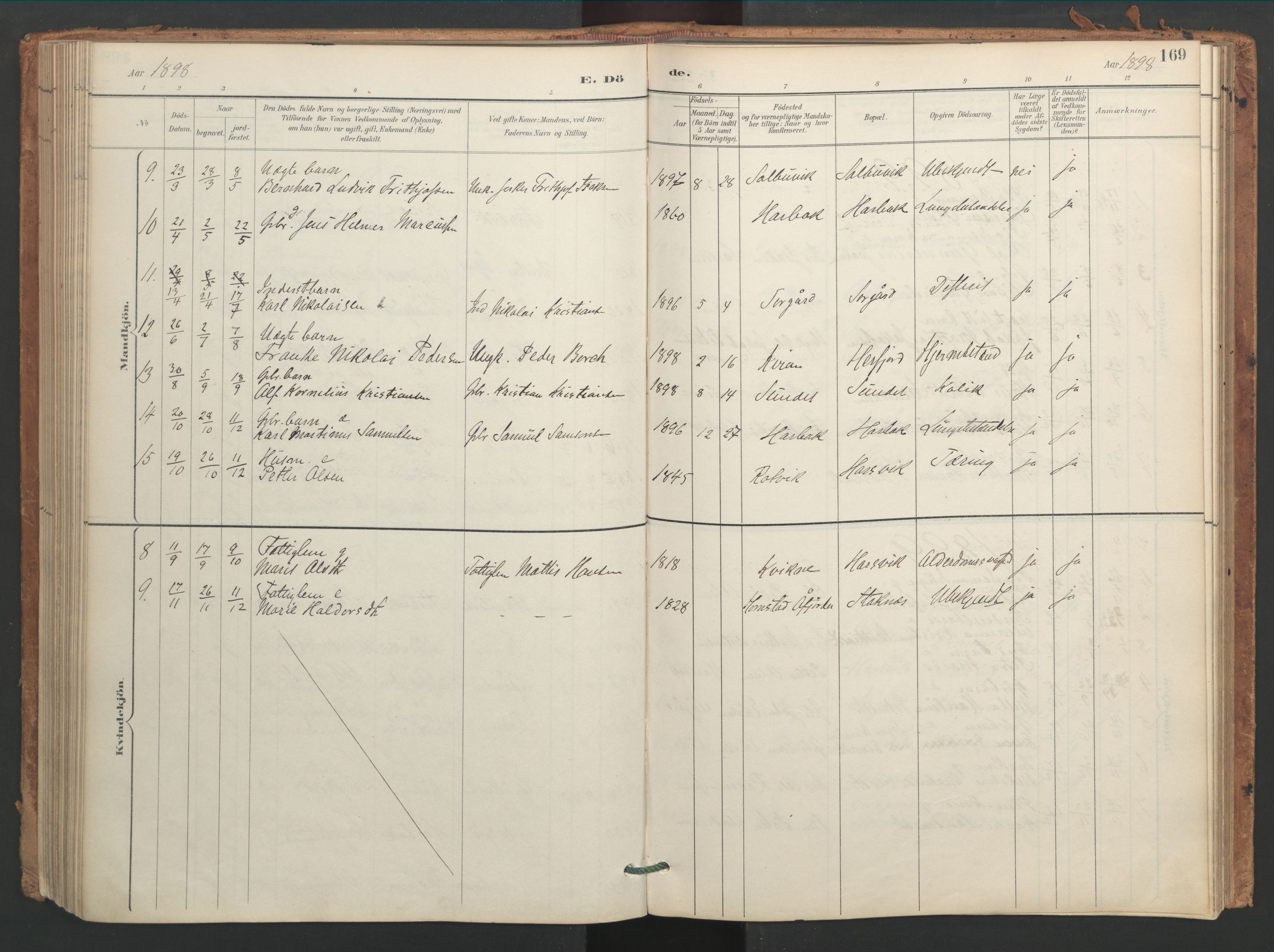 Ministerialprotokoller, klokkerbøker og fødselsregistre - Sør-Trøndelag, AV/SAT-A-1456/656/L0693: Parish register (official) no. 656A02, 1894-1913, p. 169