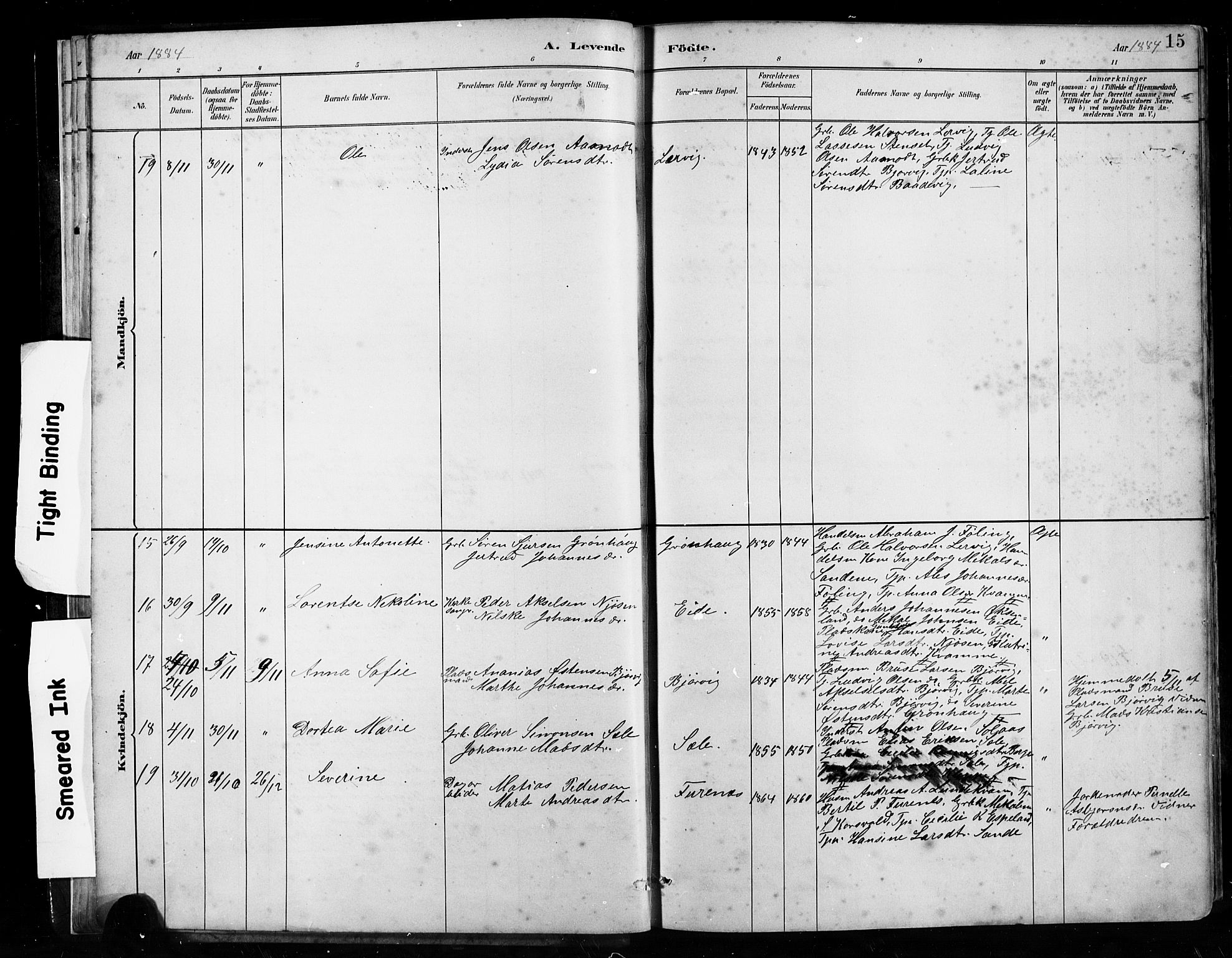 Gaular sokneprestembete, AV/SAB-A-80001/H/Hab: Parish register (copy) no. B 3, 1882-1913, p. 15