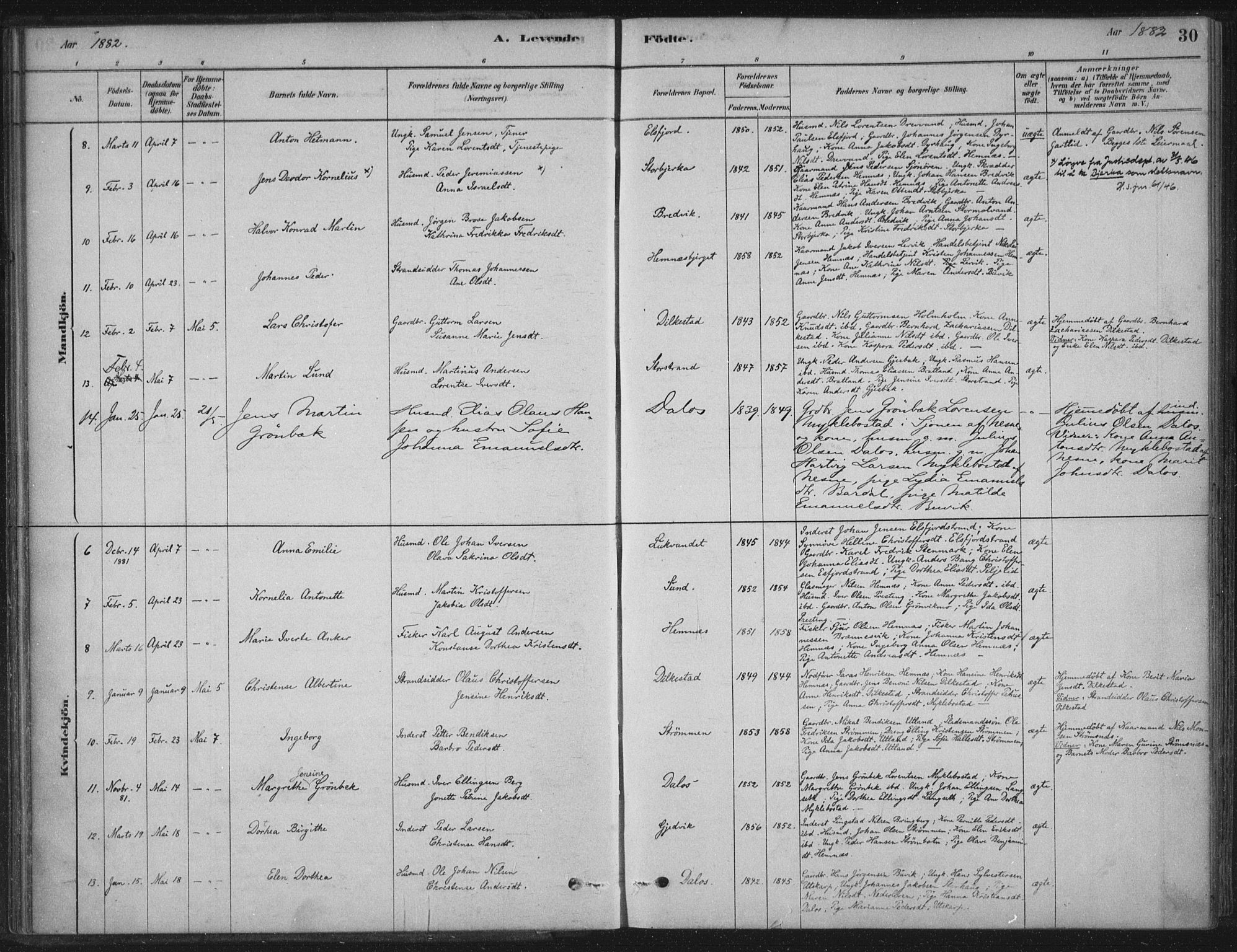 Ministerialprotokoller, klokkerbøker og fødselsregistre - Nordland, AV/SAT-A-1459/825/L0361: Parish register (official) no. 825A15, 1878-1893, p. 30