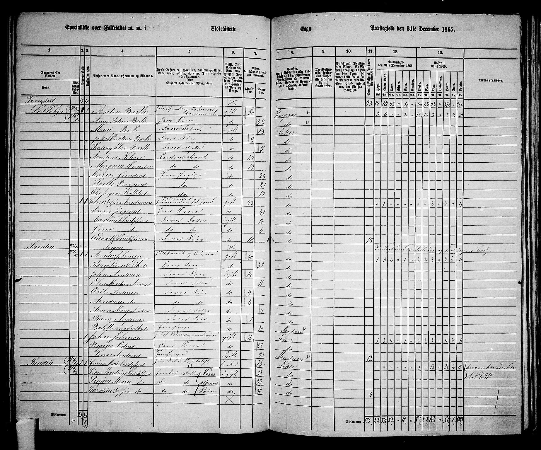 RA, 1865 census for Eiker, 1865, p. 156